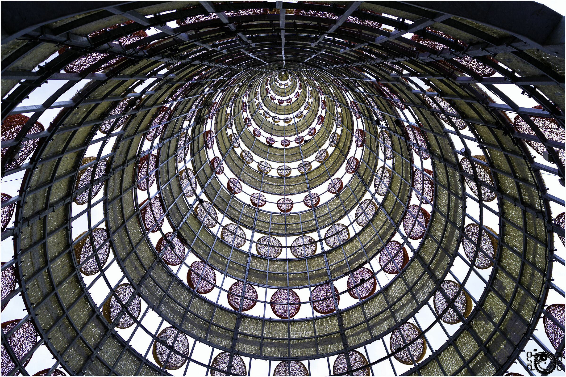 A Christmas tree... Strange