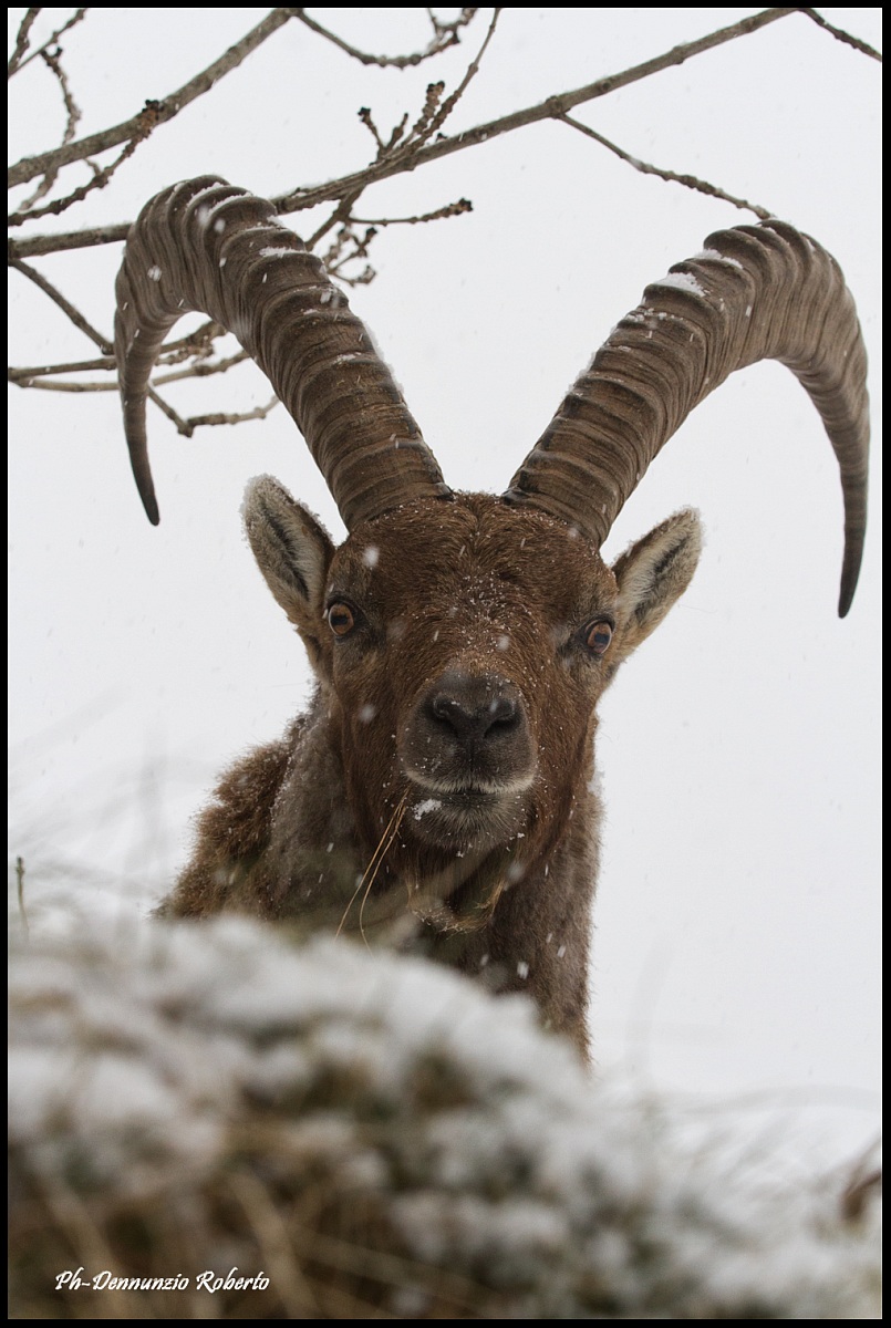 bauuuuuuuuuuu 7teteeeeeee!