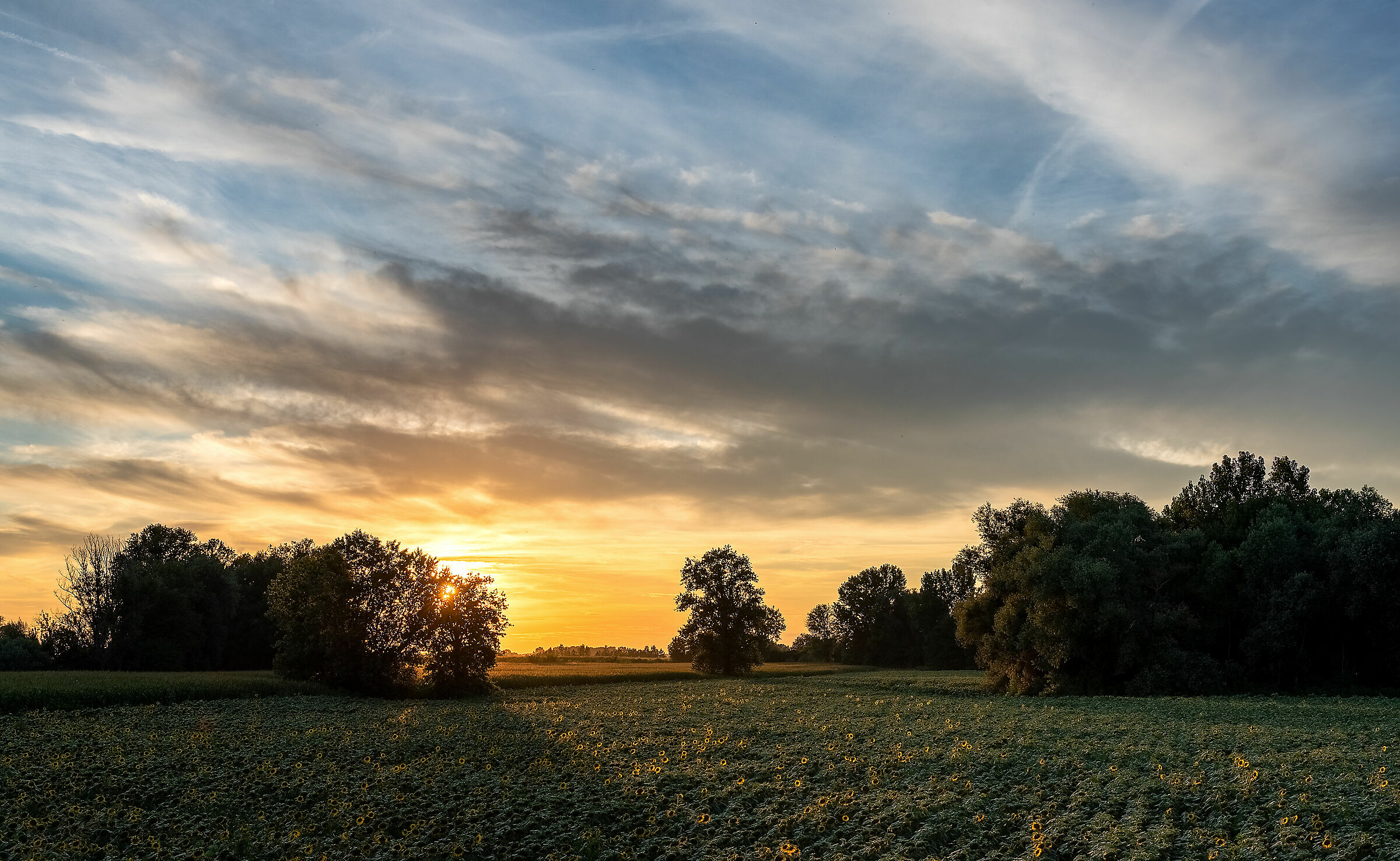 c'era un paese lontano