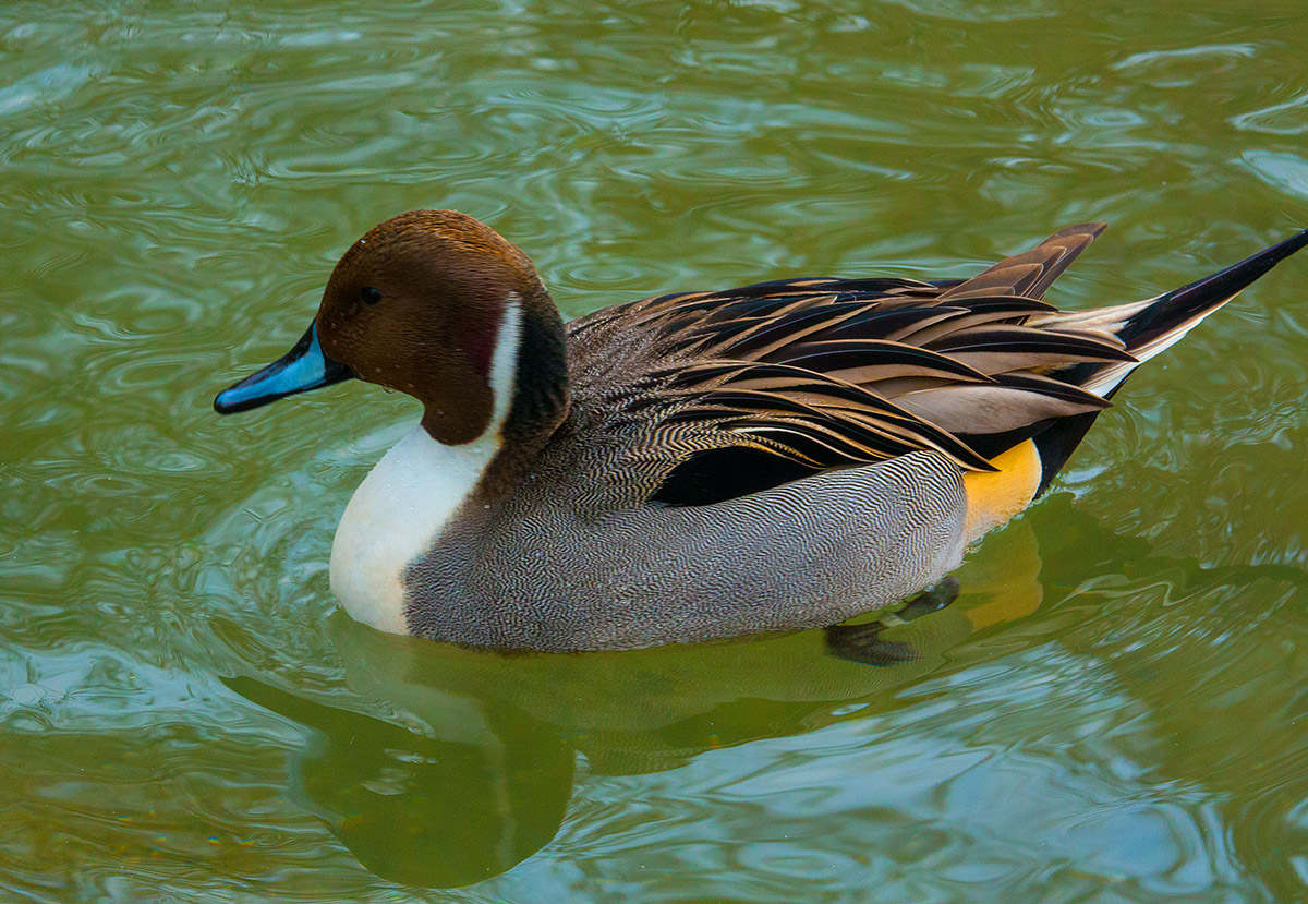 mi sono appena fatta un bagno