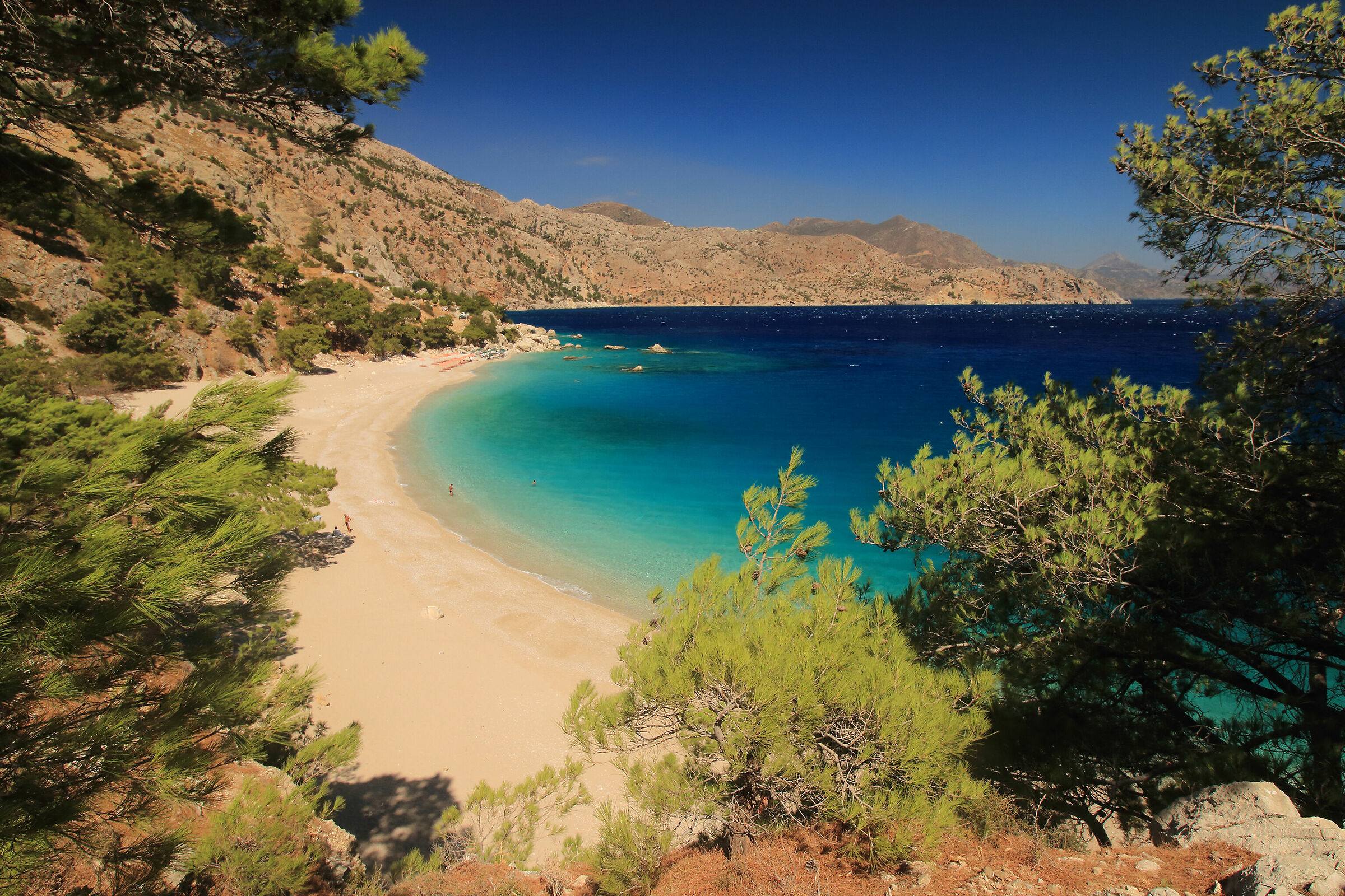 Apela - beautiful and green -