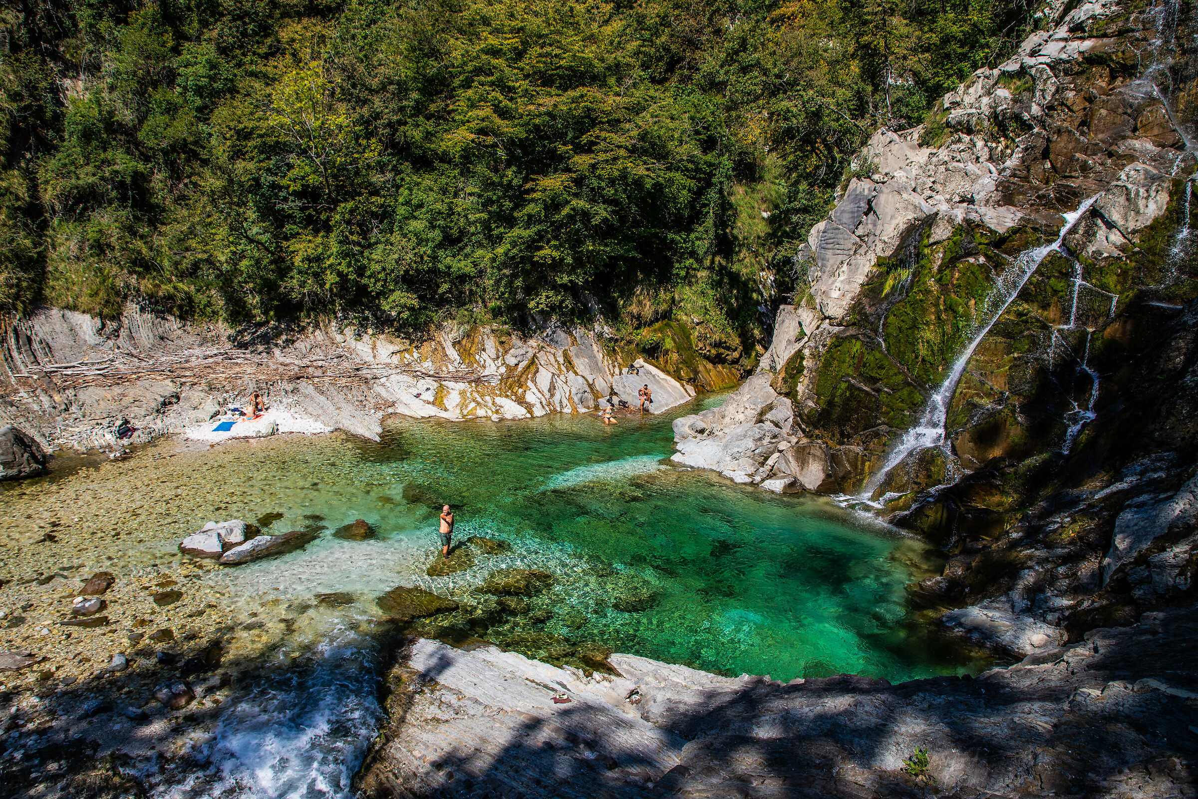 A corner of fresh paradise