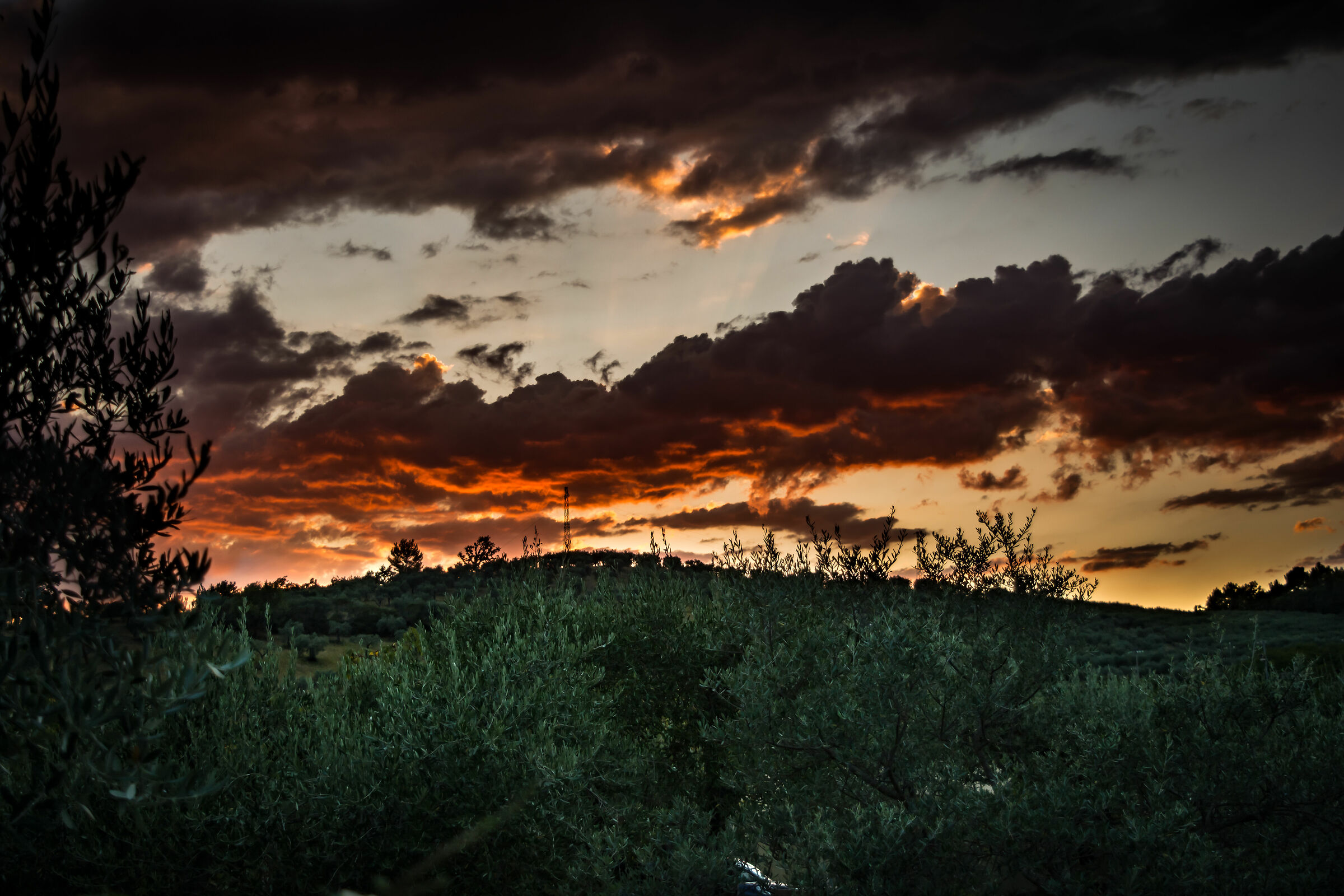Bevagna - Boccio Plain - Sunset