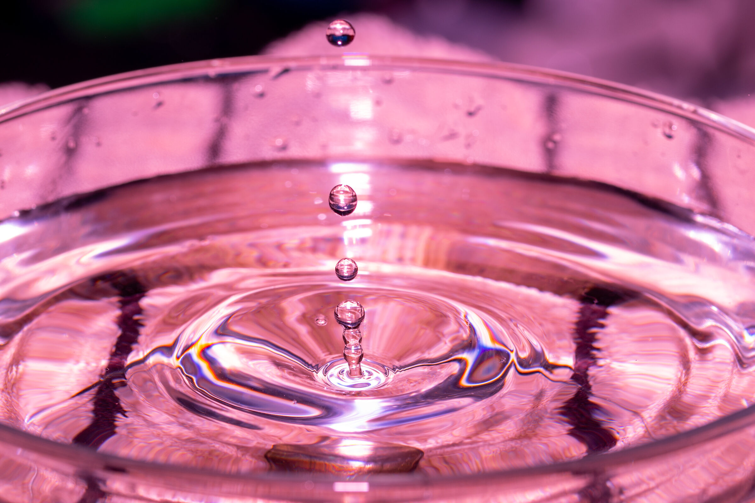 in coda per un tuffo