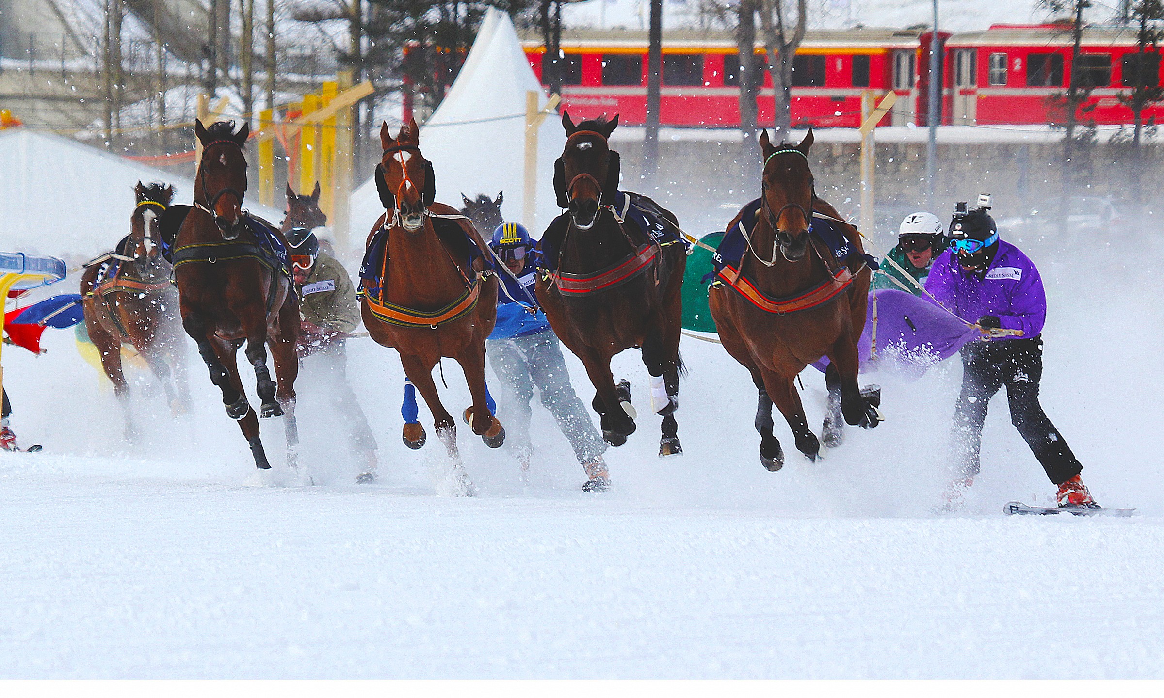 Skijoring