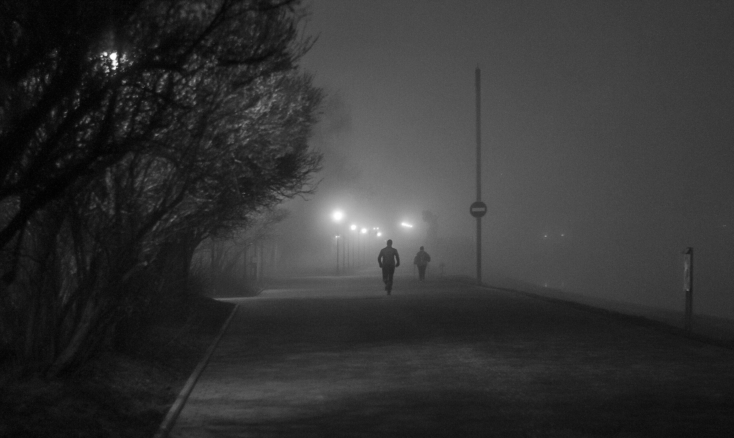 Two on a foggy Night...