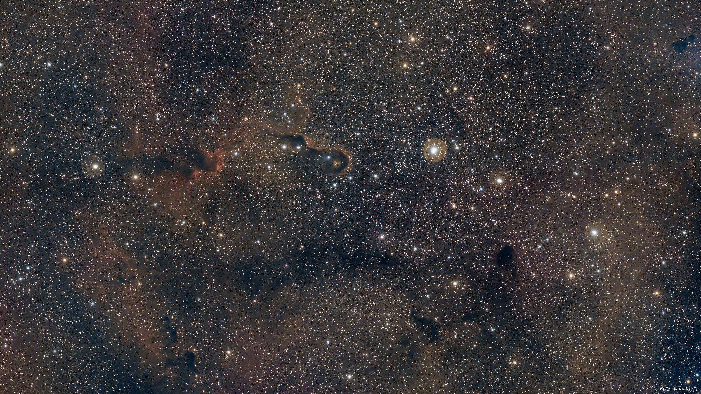 vdb142, Elephant's Trunk Nebula