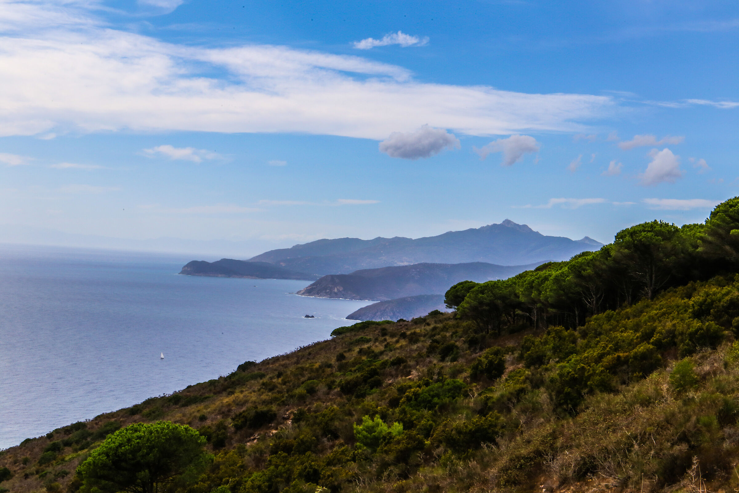 Isola D'Elba: Scorcio dal monte Calamita