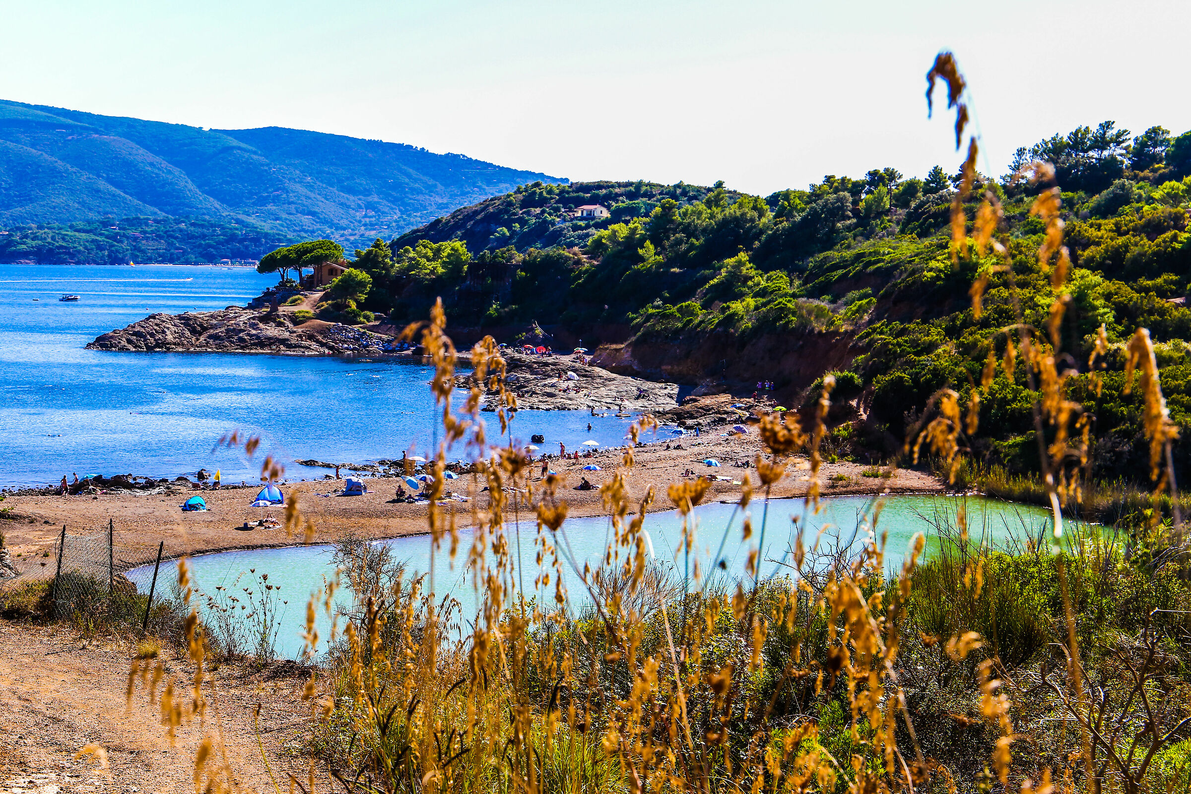 Isola D'Elba: Spiaggia di Terranera