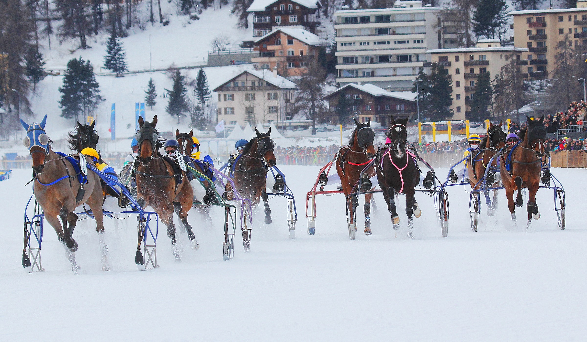 trotting on the frozen lake