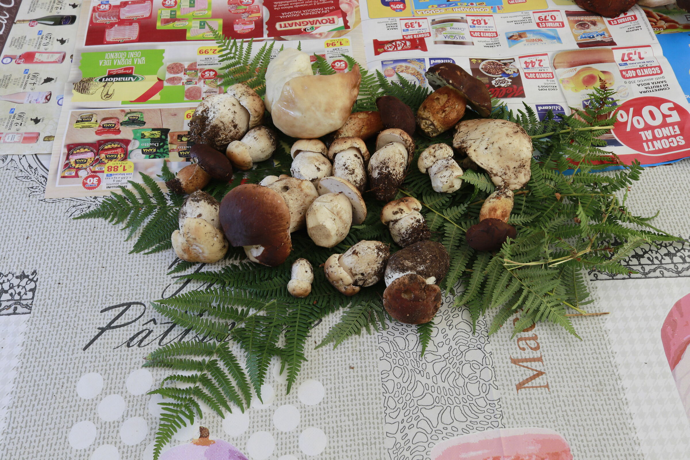 funghi porcini e castagnoli 13/09/2020