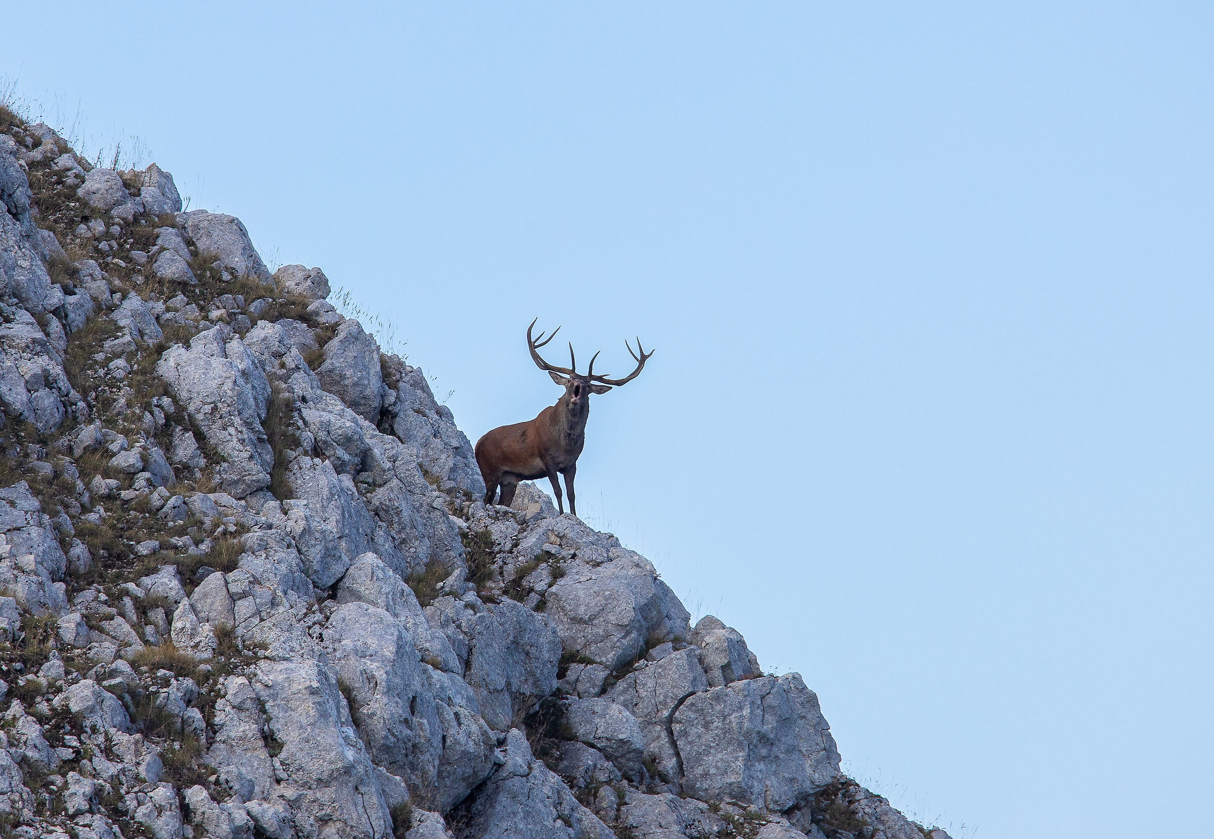 dall'alto della montagna