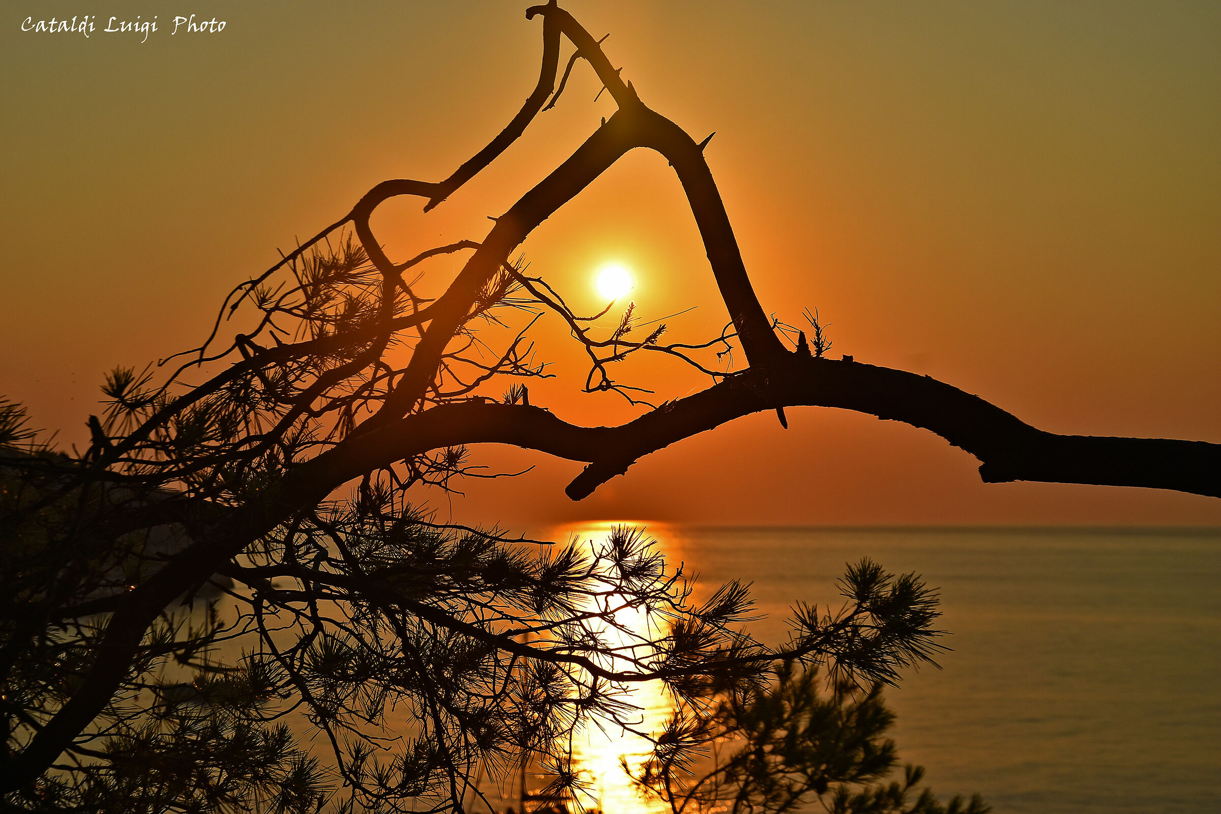 La natura mi fa l'occhiolino