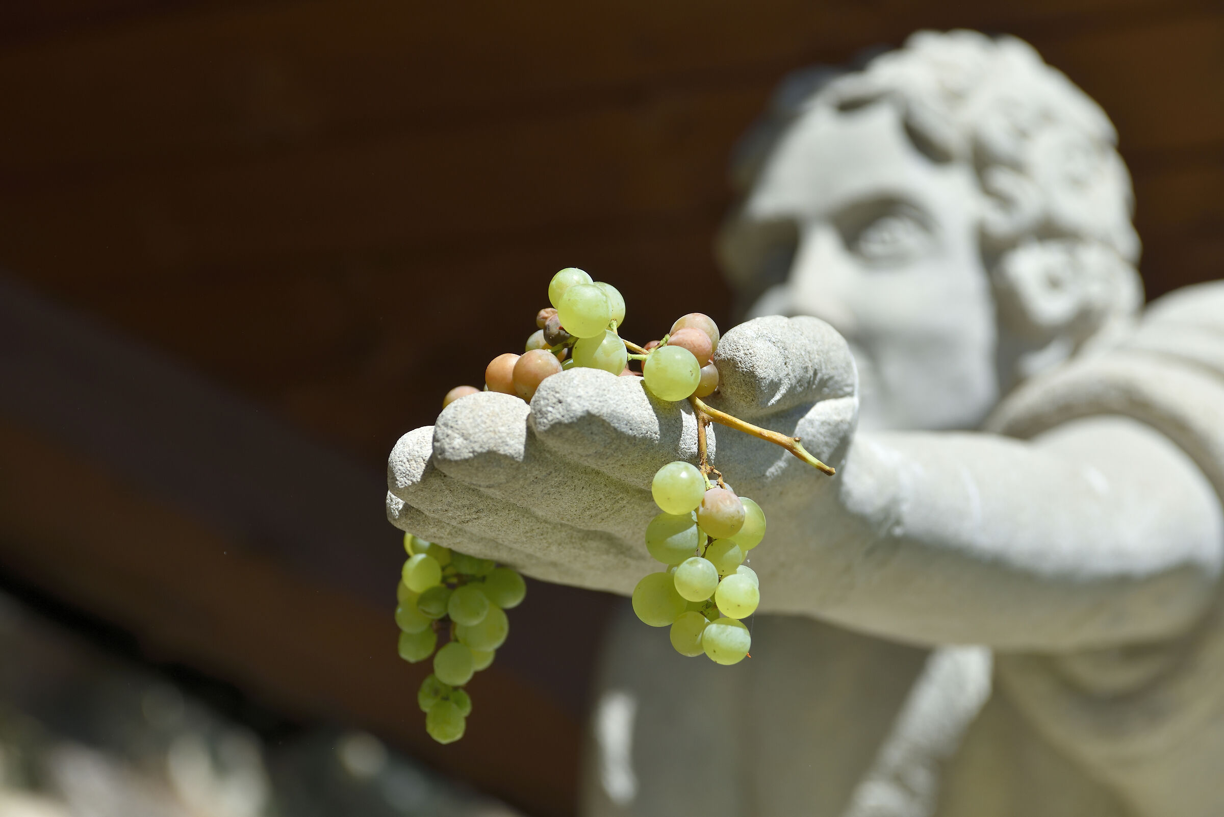 Il dono .. di madre Terra