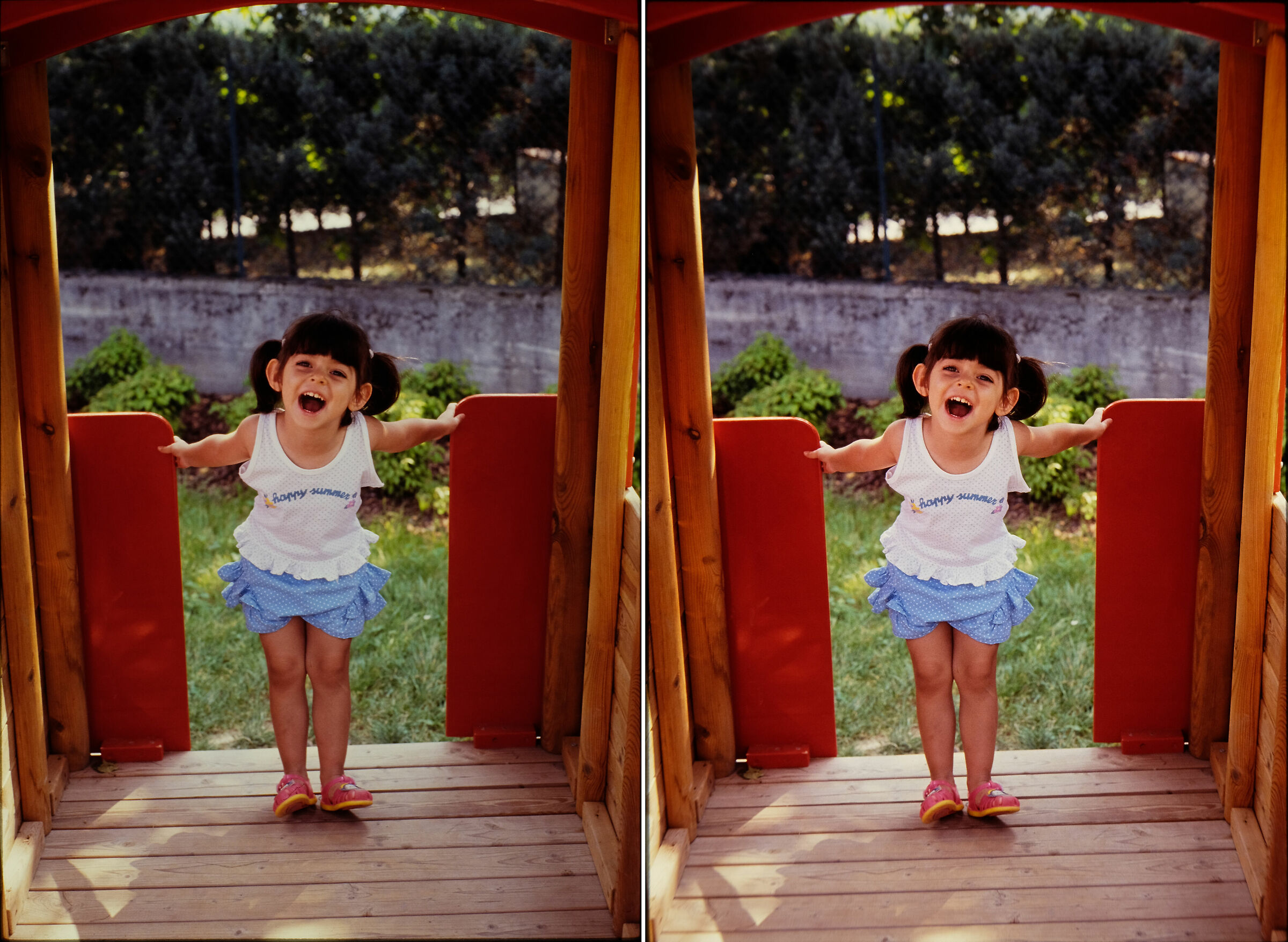 Allegria  - test scansione diapositiva