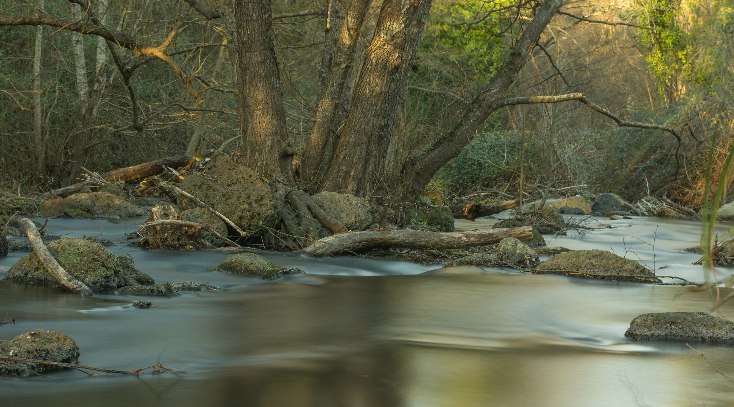 Valle del Treja - Peaceful River