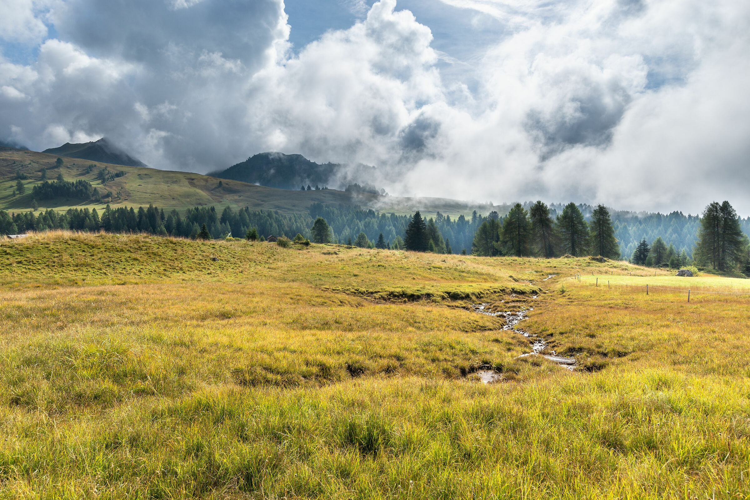 Vicino al passo San Pellegrino