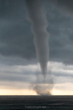 Tornado