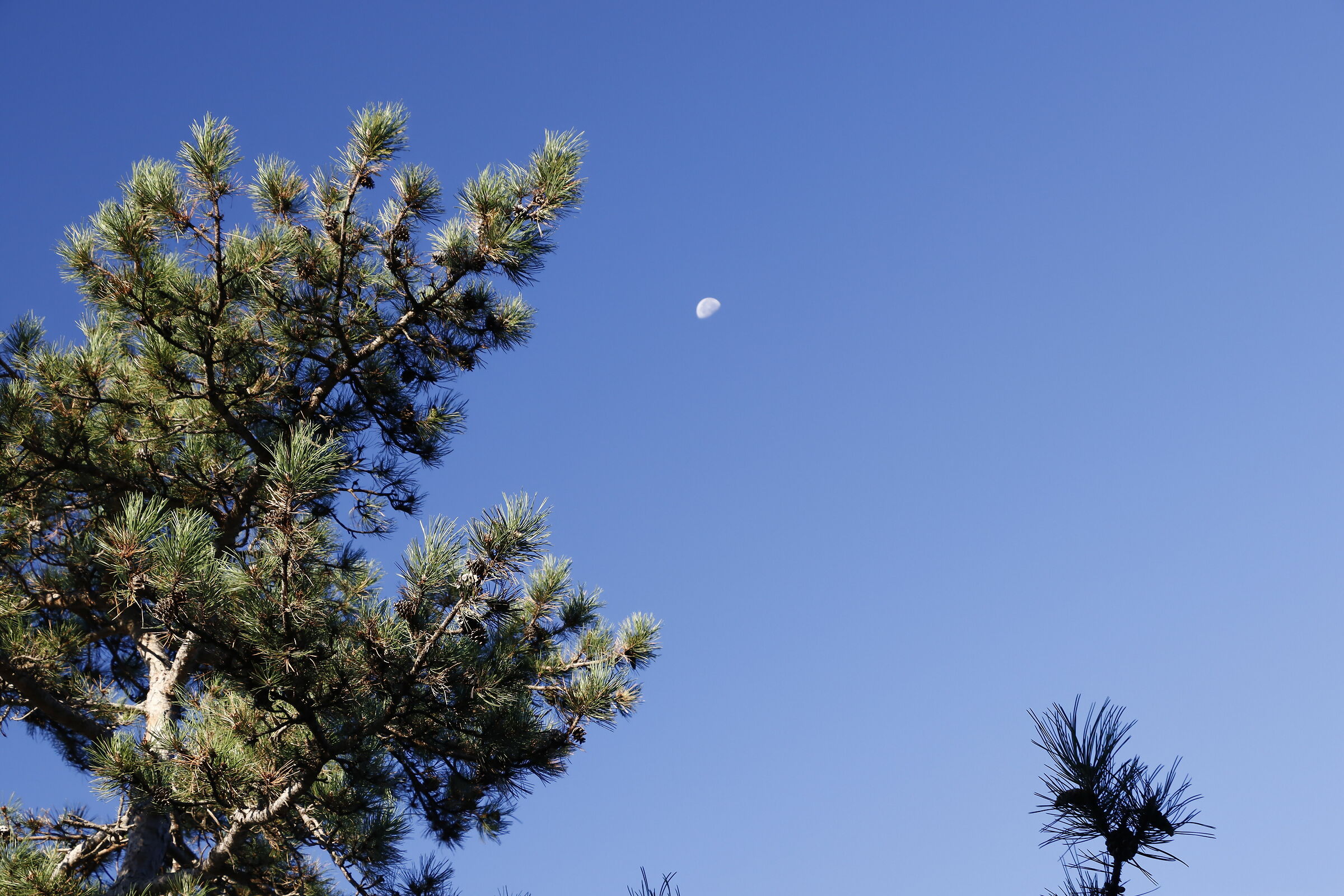 mattina di settembre