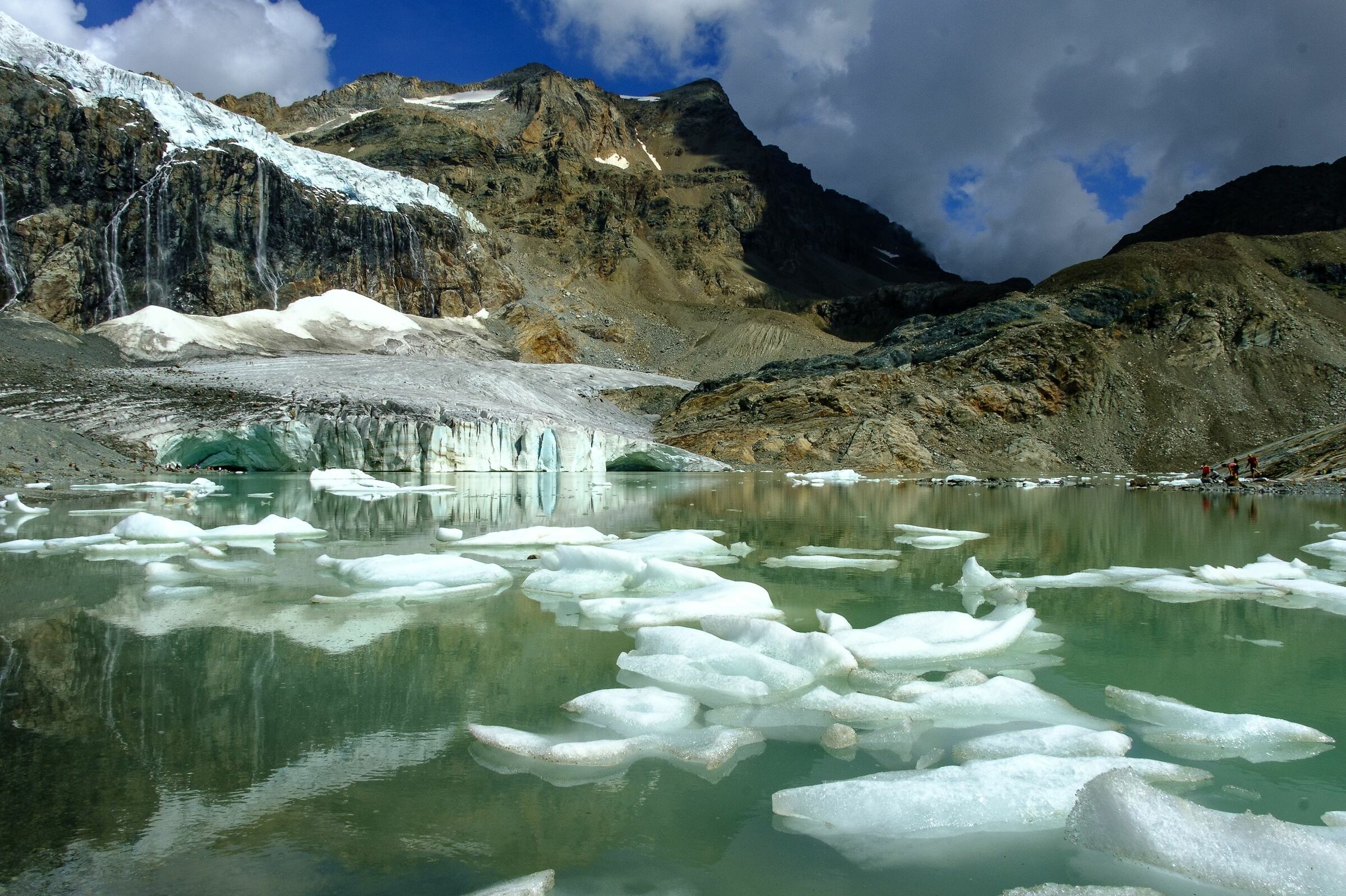 what's left of fellaria