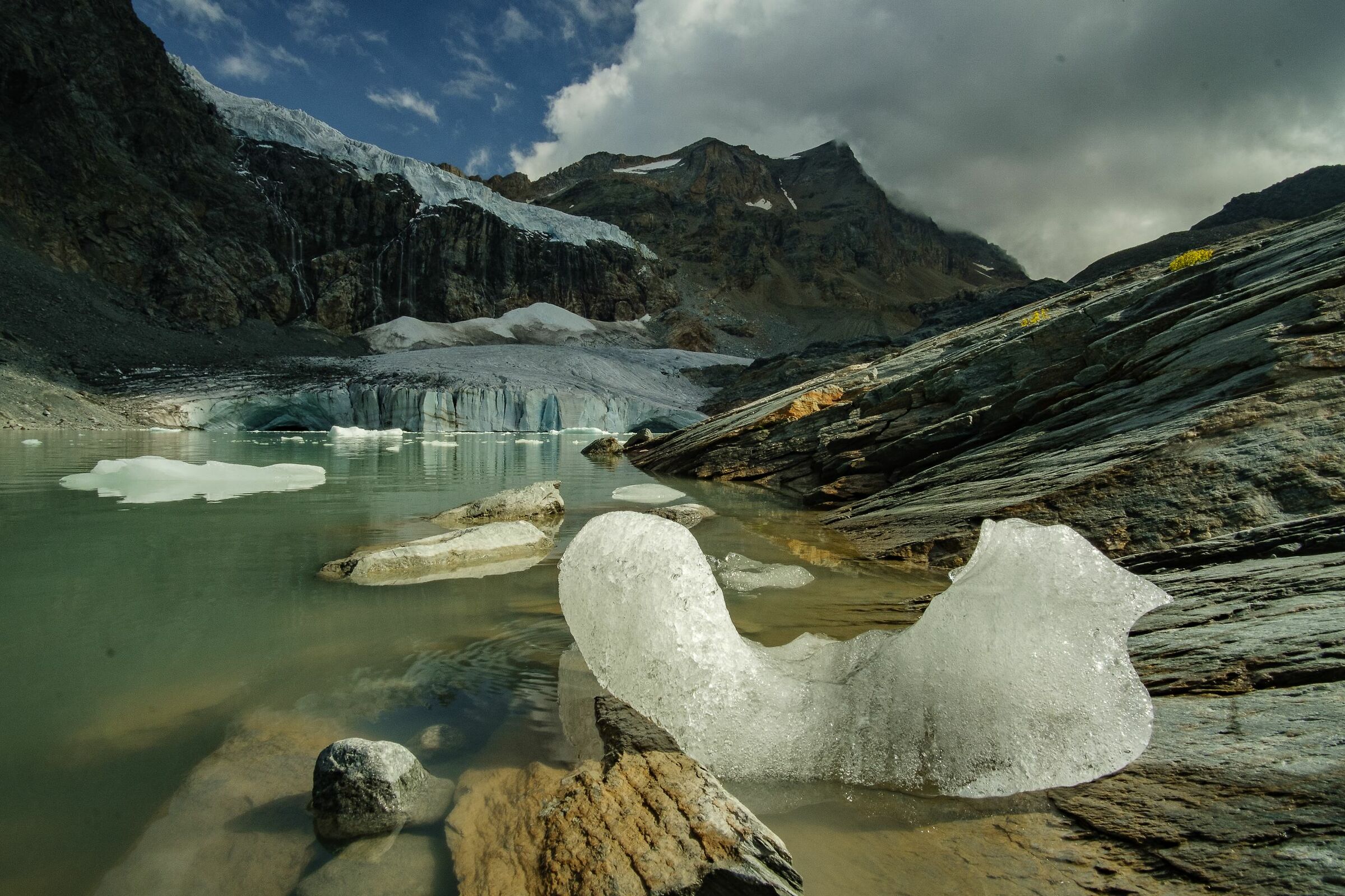 forme di ghiaccio al Fellaria