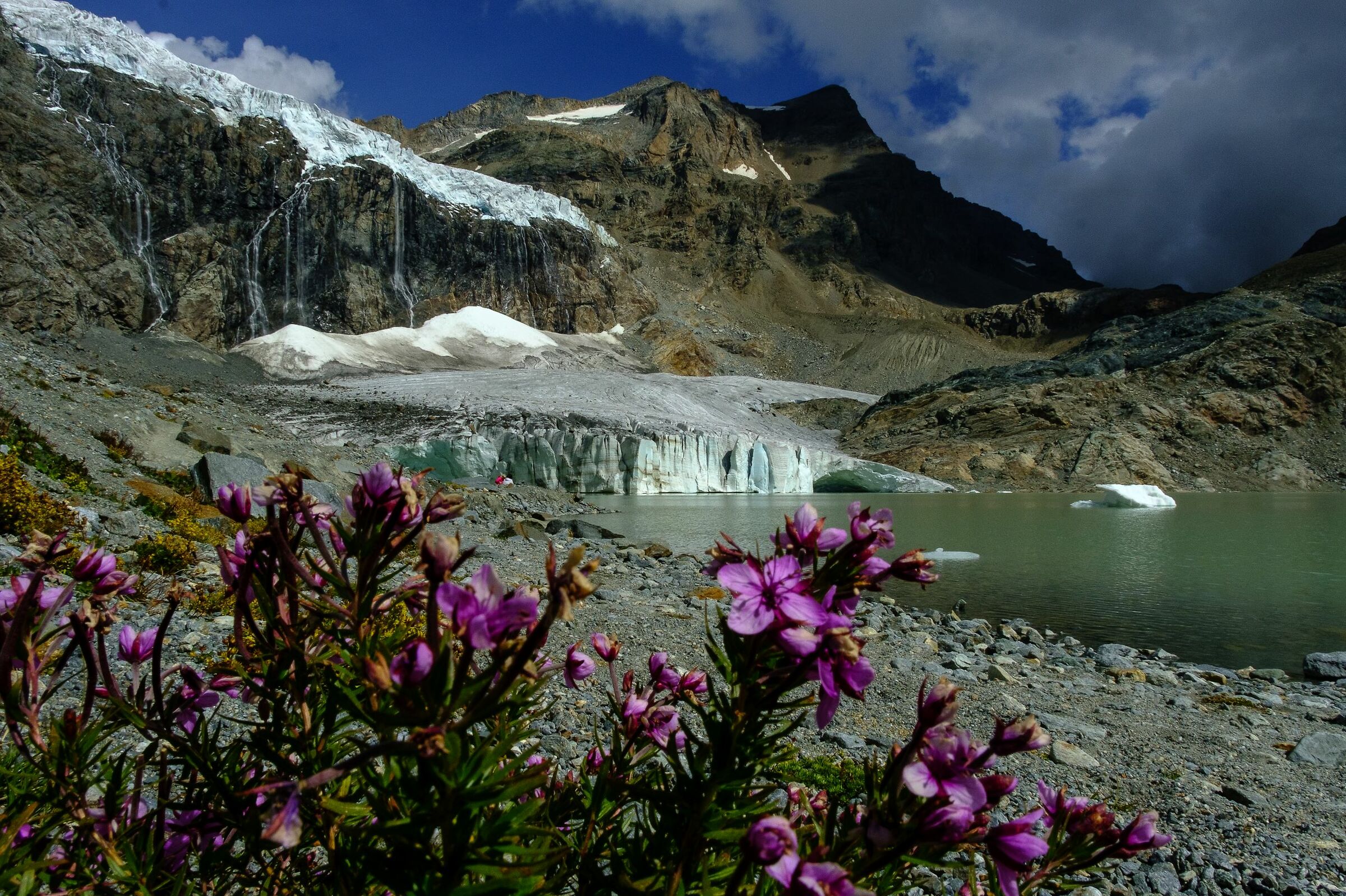 Ghiacciaio Fellaria
