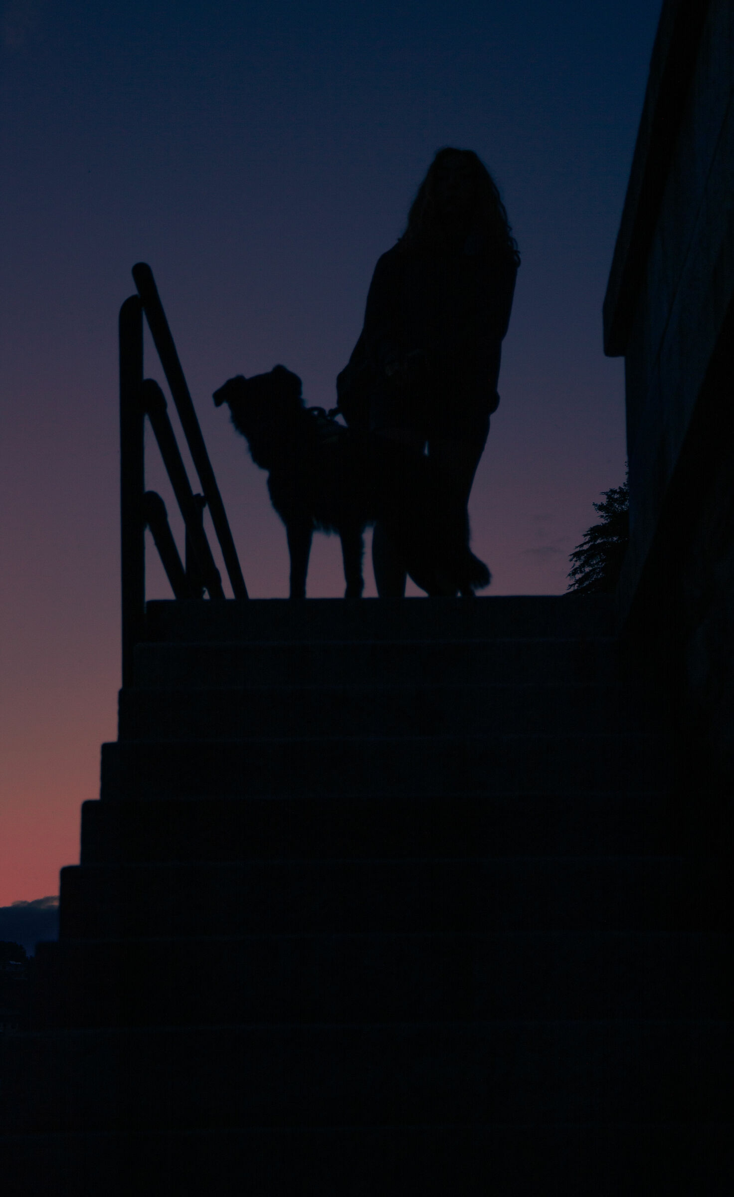 Silhouette