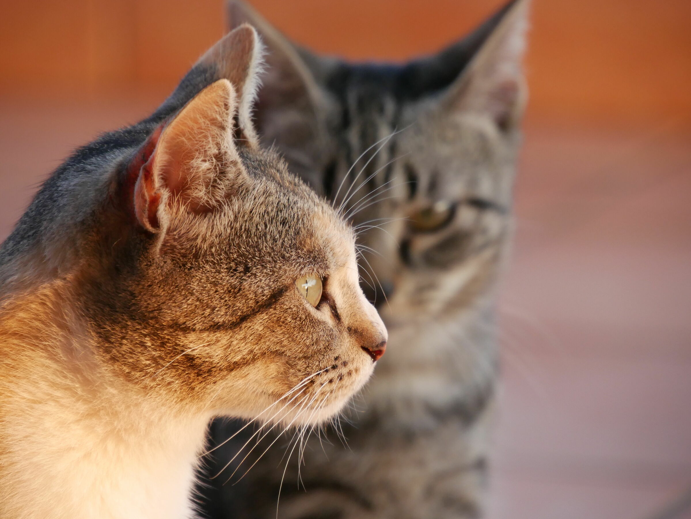 I'm keeping an eye on you.