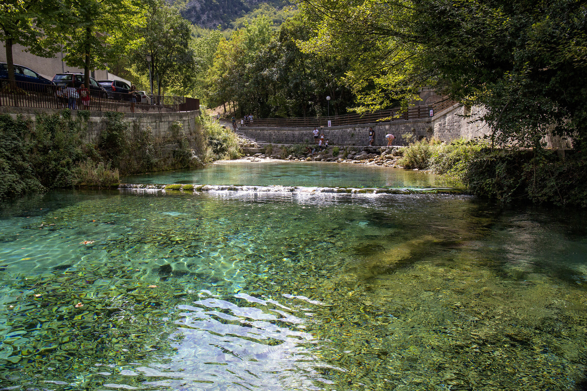 sorgente del fiume verde
