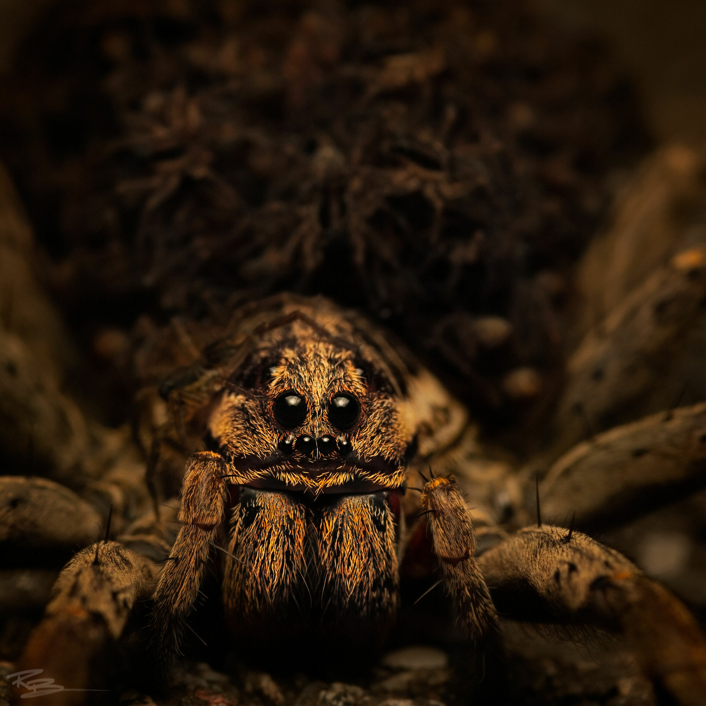 Every mom loves her children