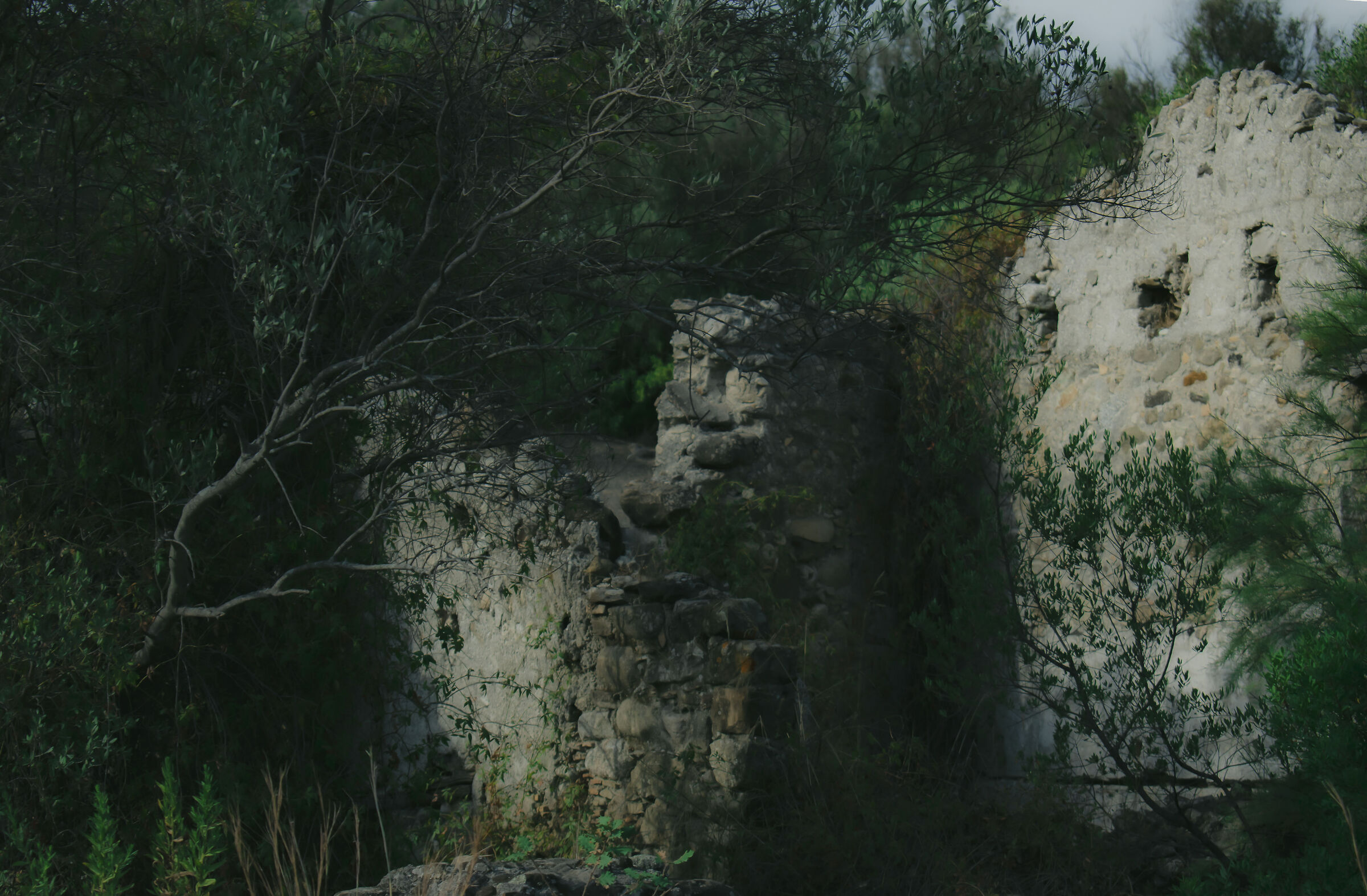 Untitled Photo