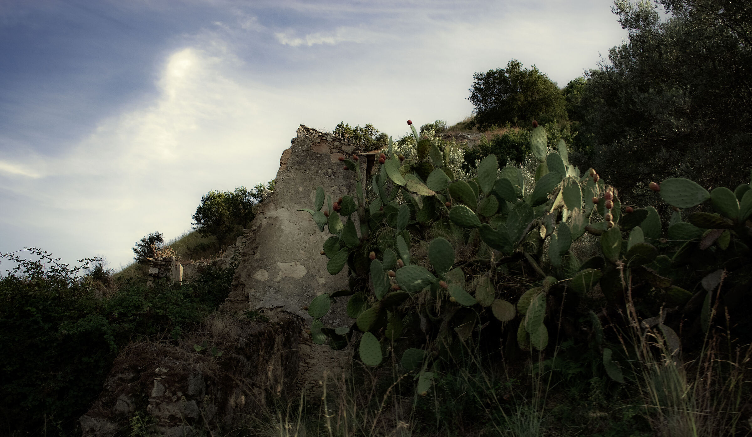 Untitled Photo