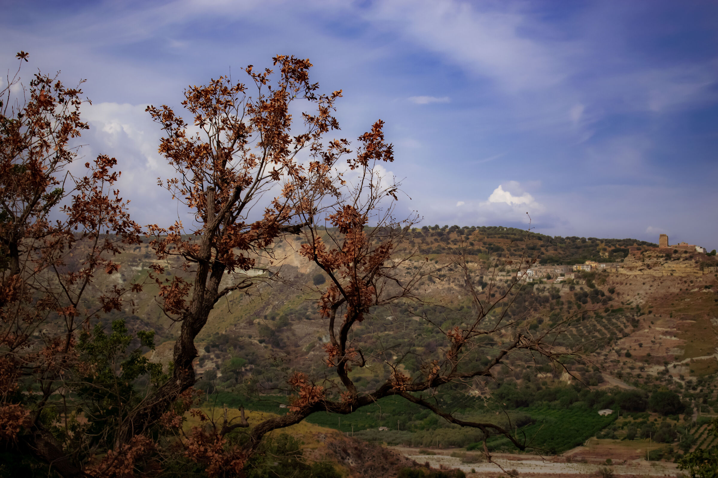 Untitled Photo