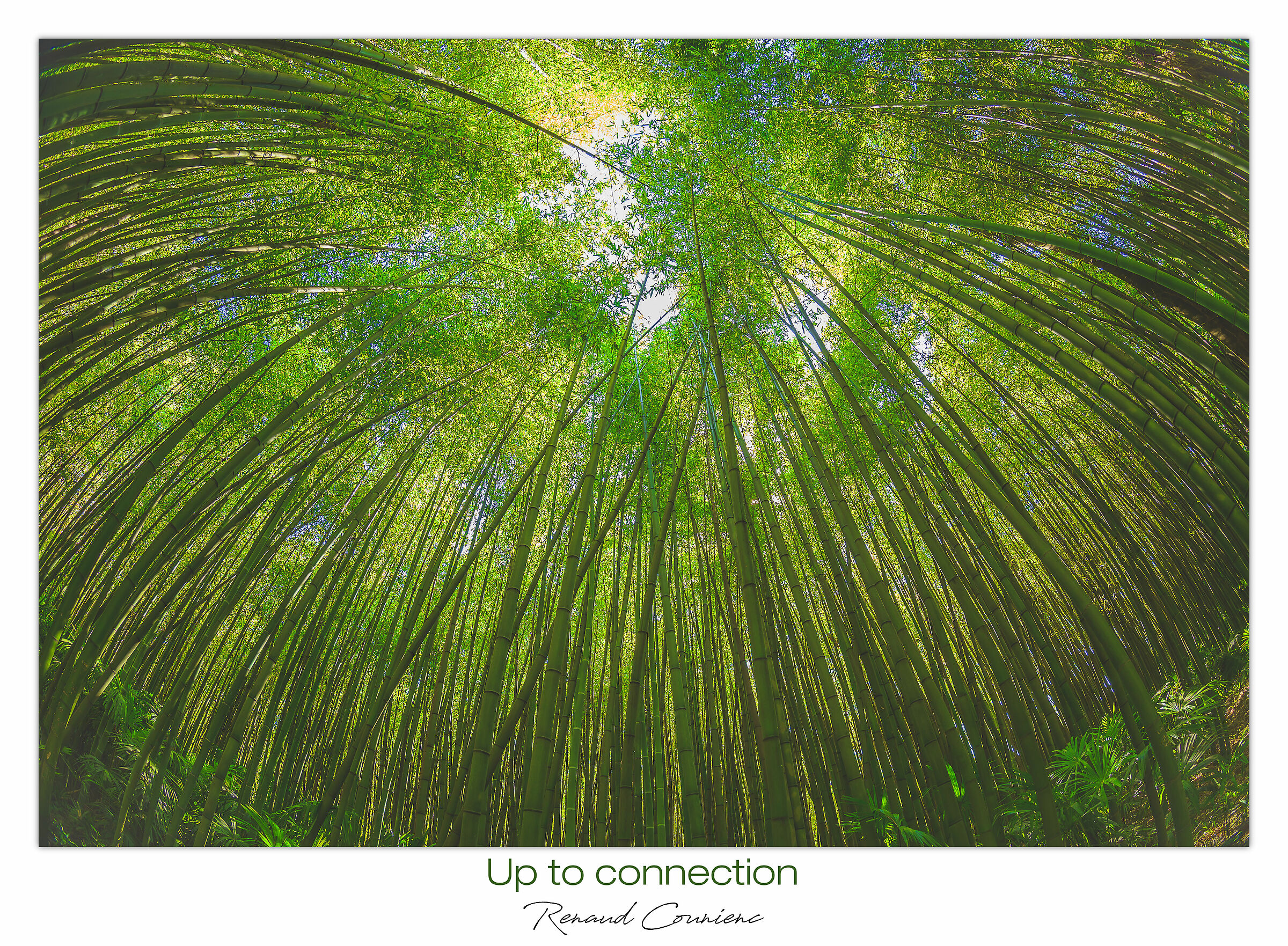 Fino alla connessione (ri-post)