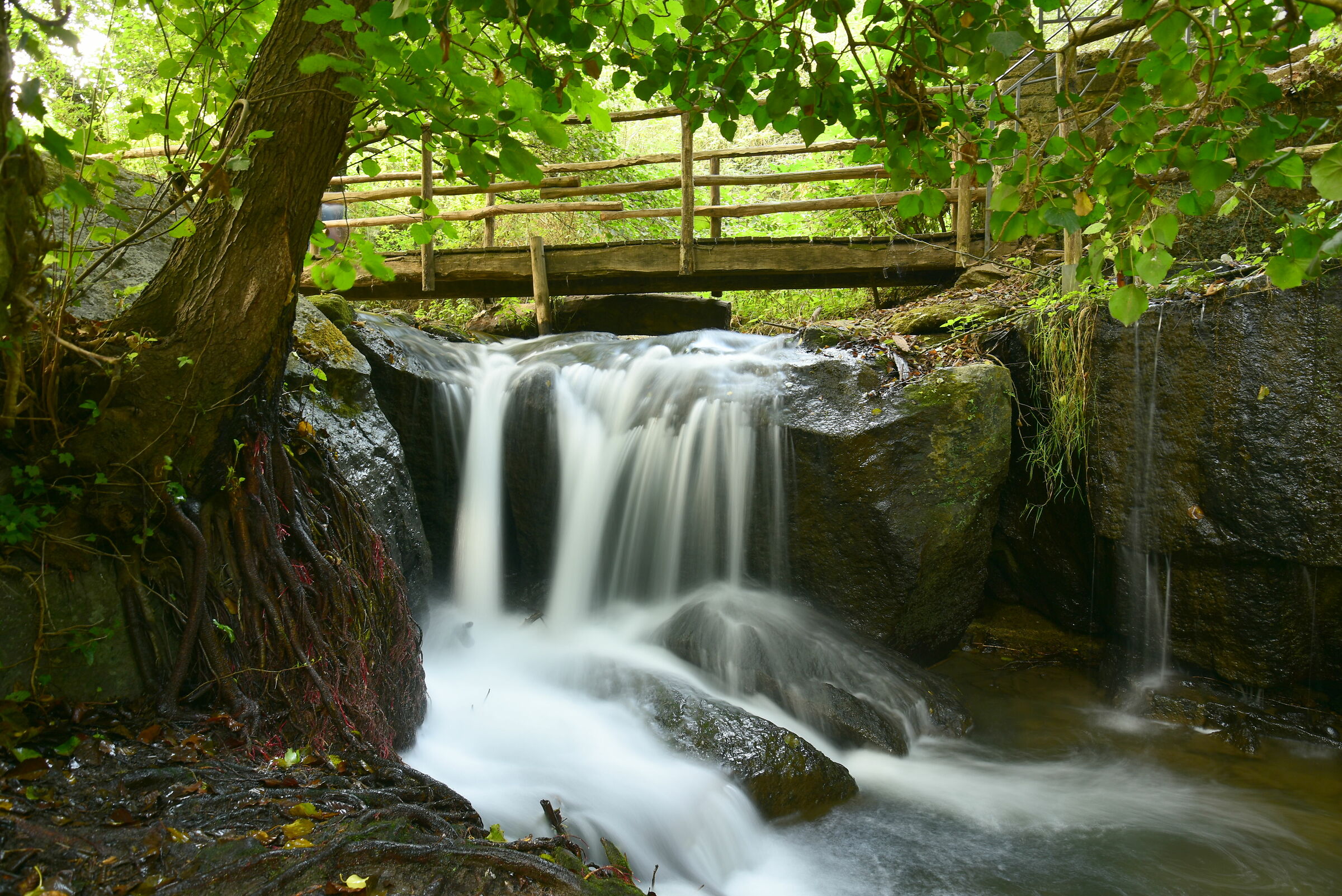 Particolare delle cascate di Monte Gelato