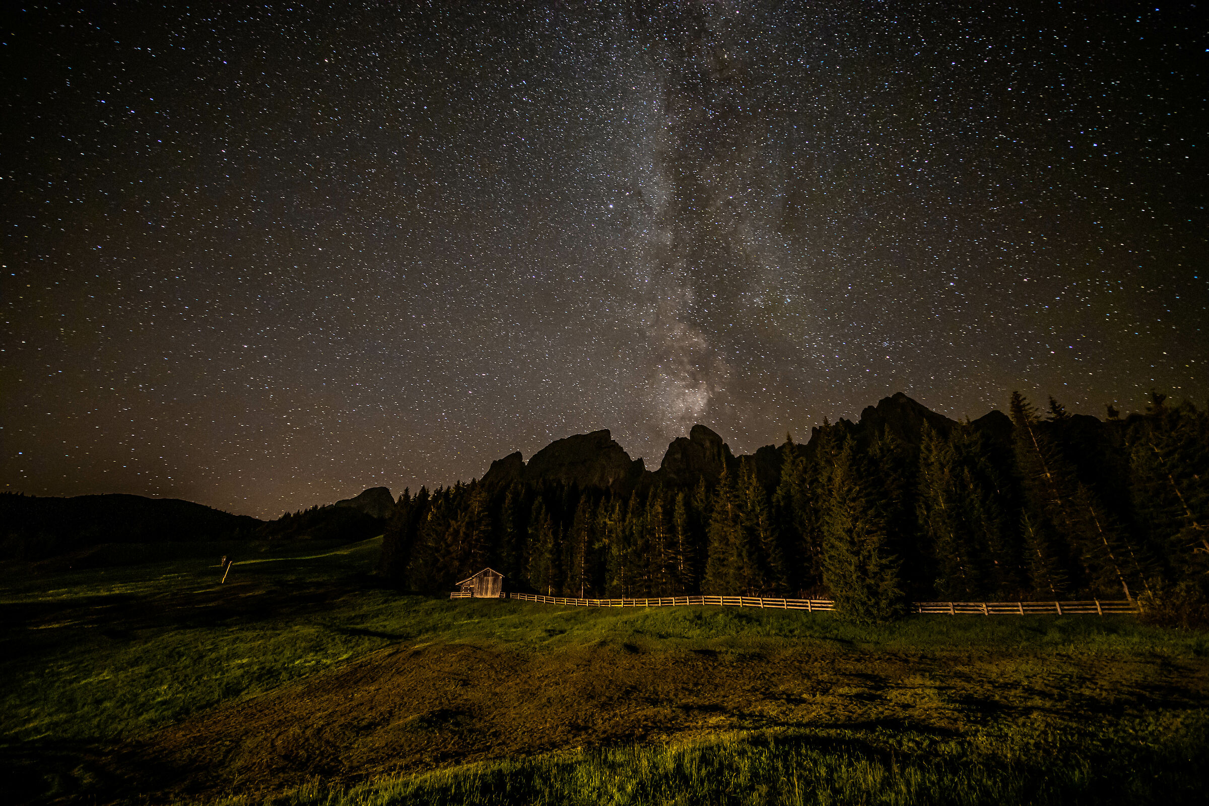 Numeras stellas, si potes