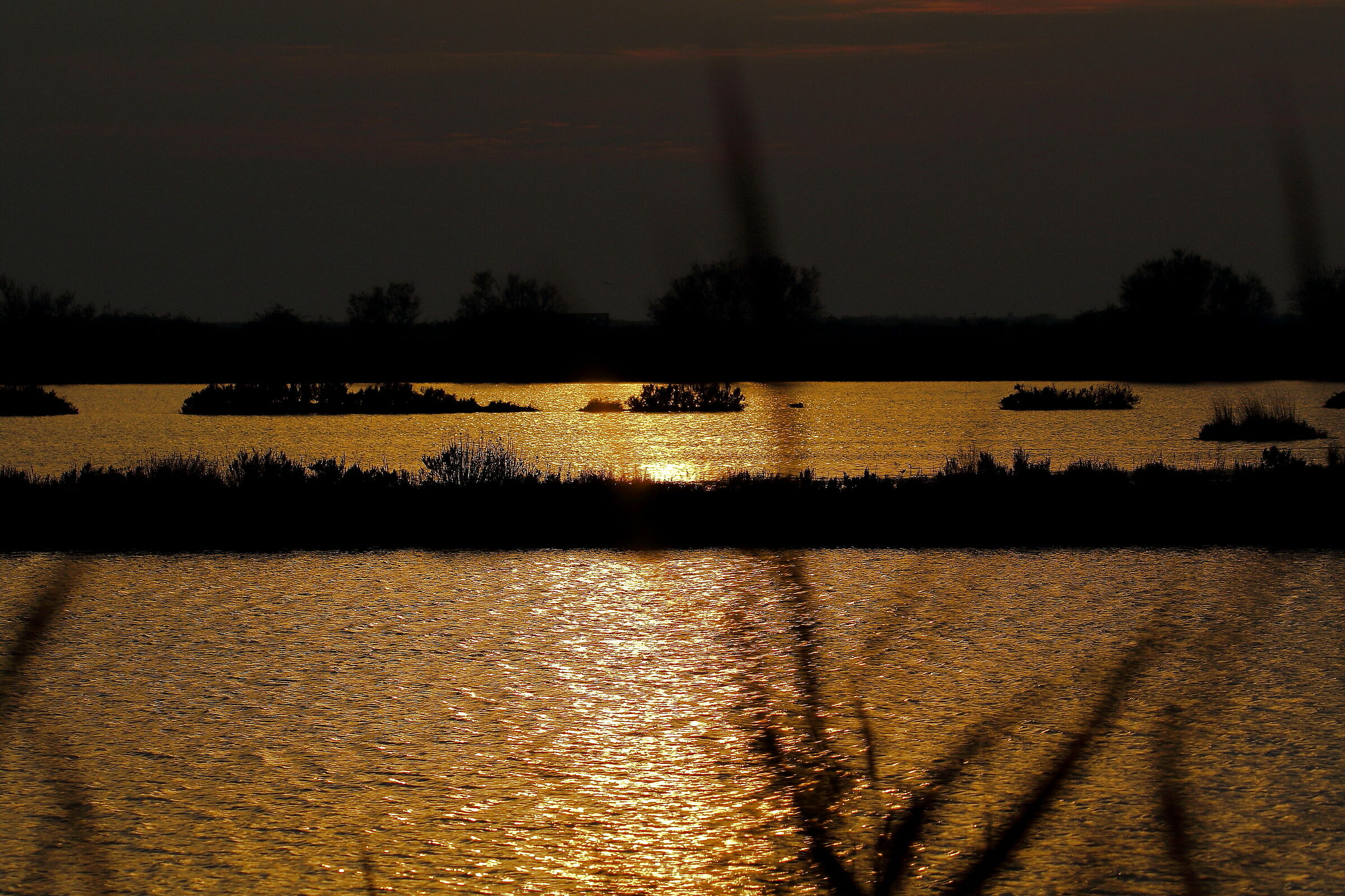 tramonto in valle (Comacchio).