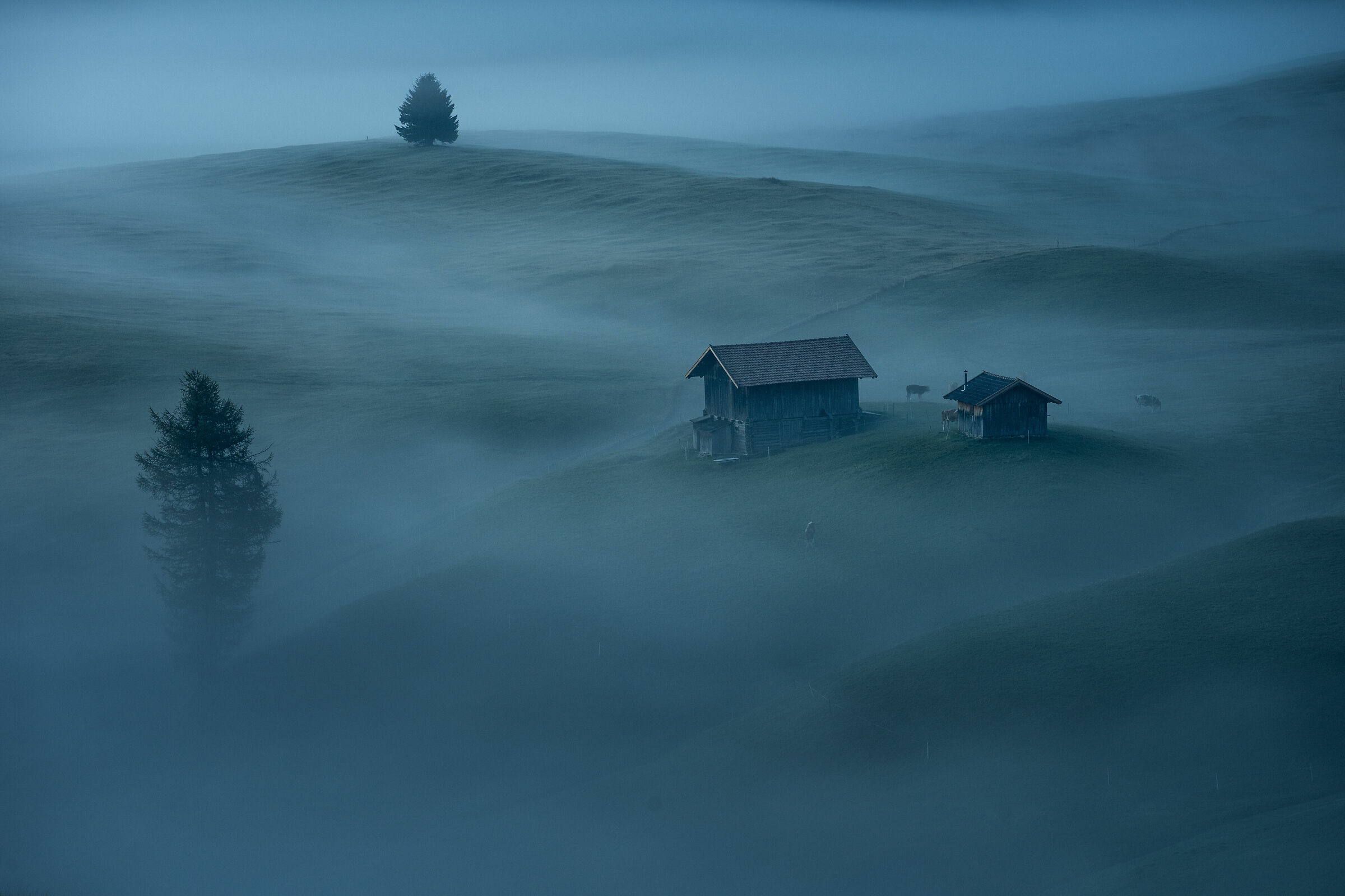 Siusi fog