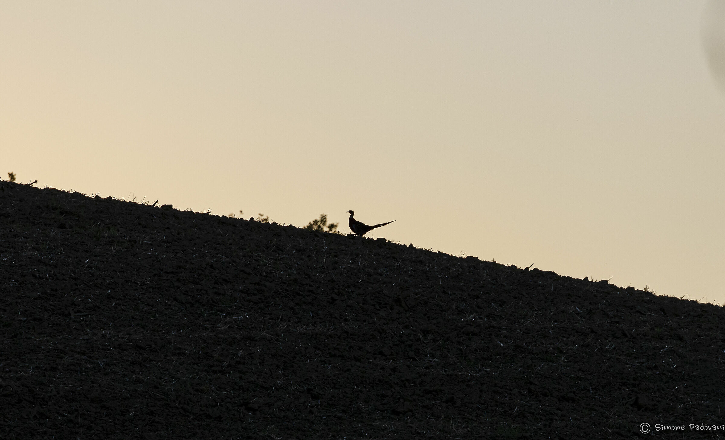 salendo verso sera....