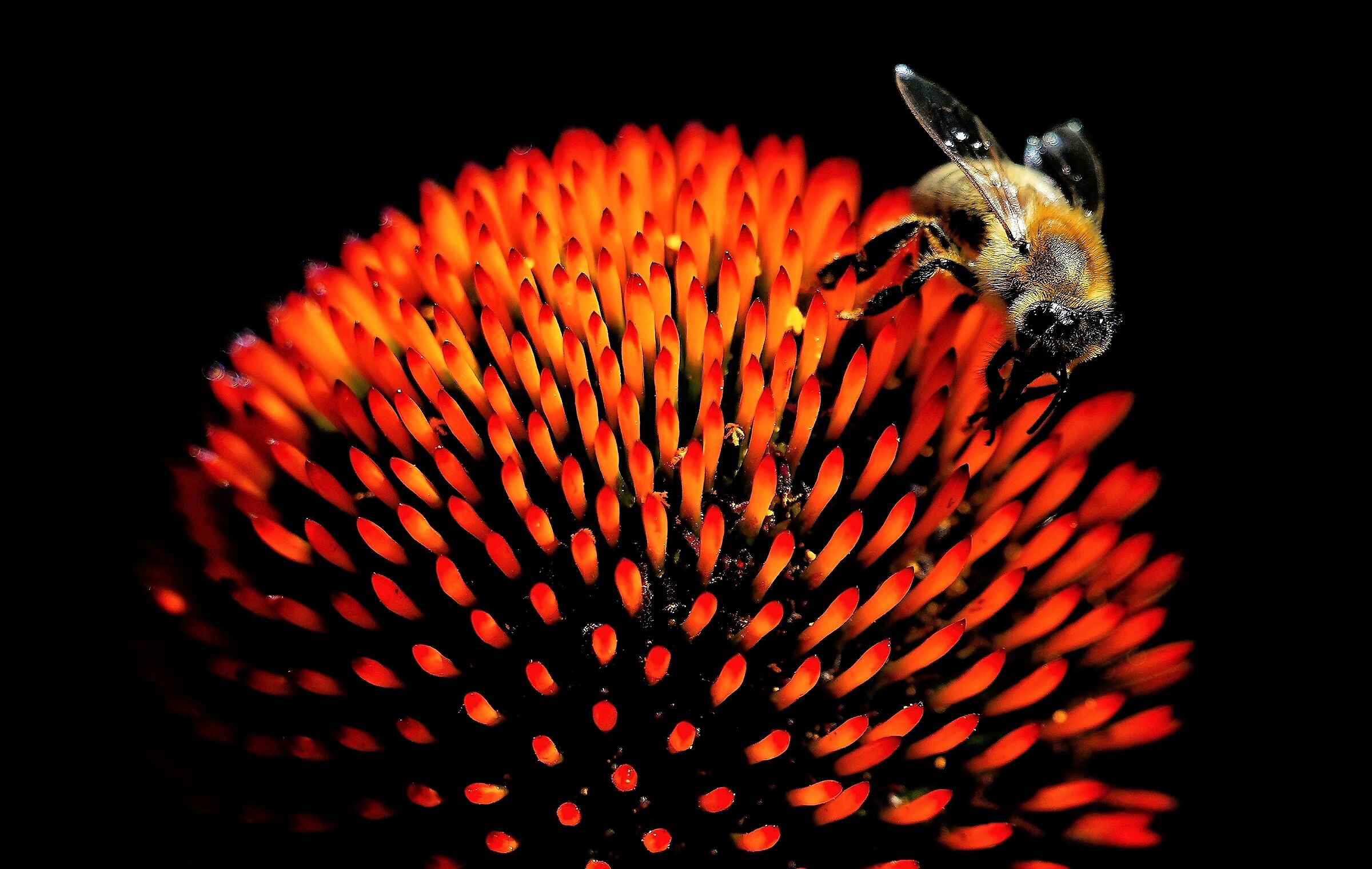 Almost macro.