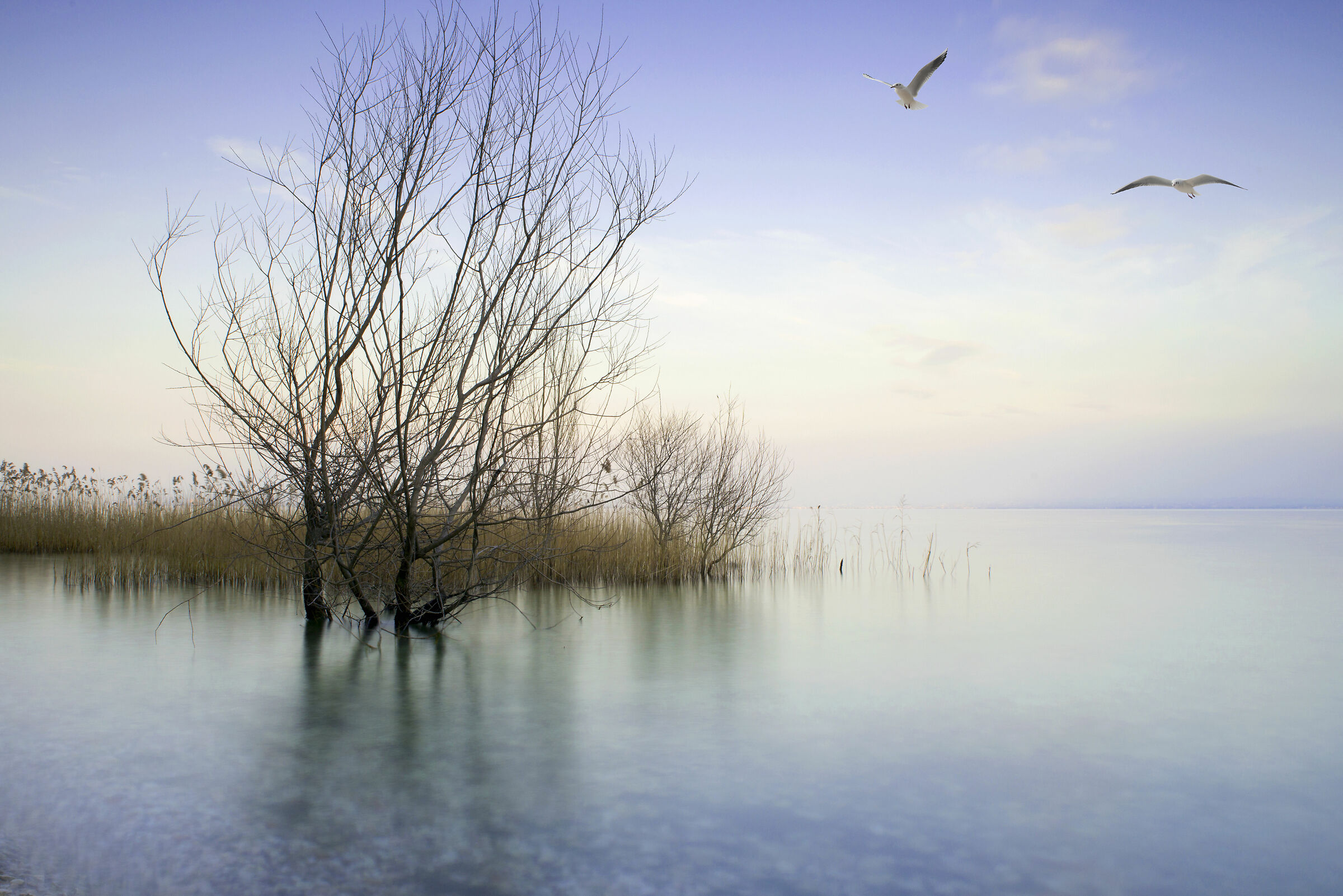 Sirmione lago di Garda