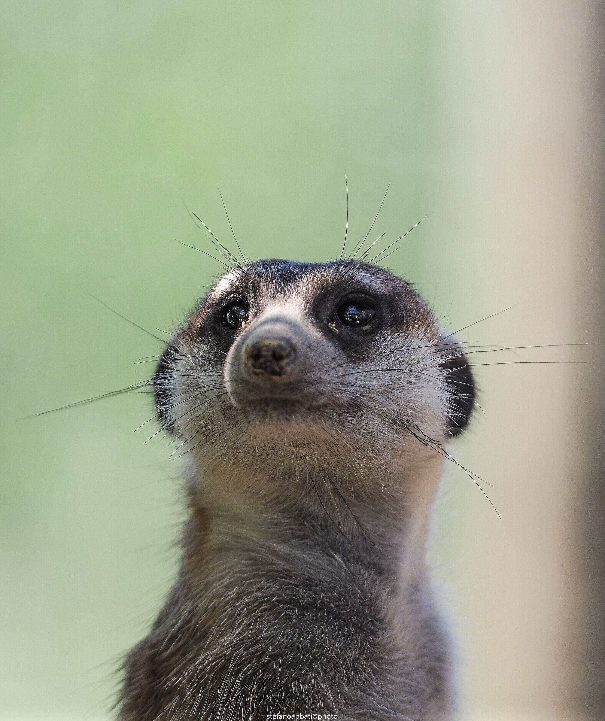 Zoo di Pesco Sannita (bn)