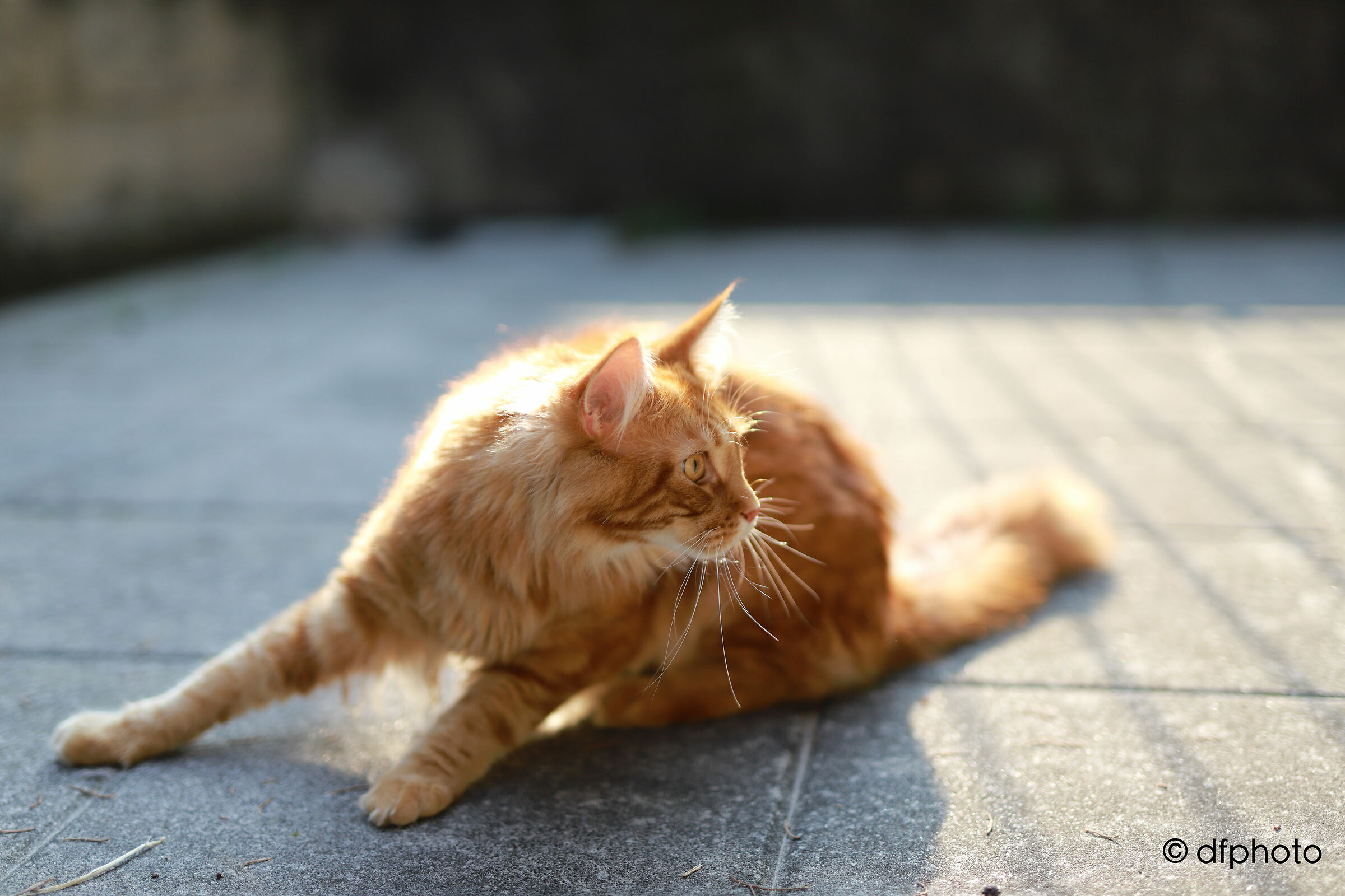 Kiro