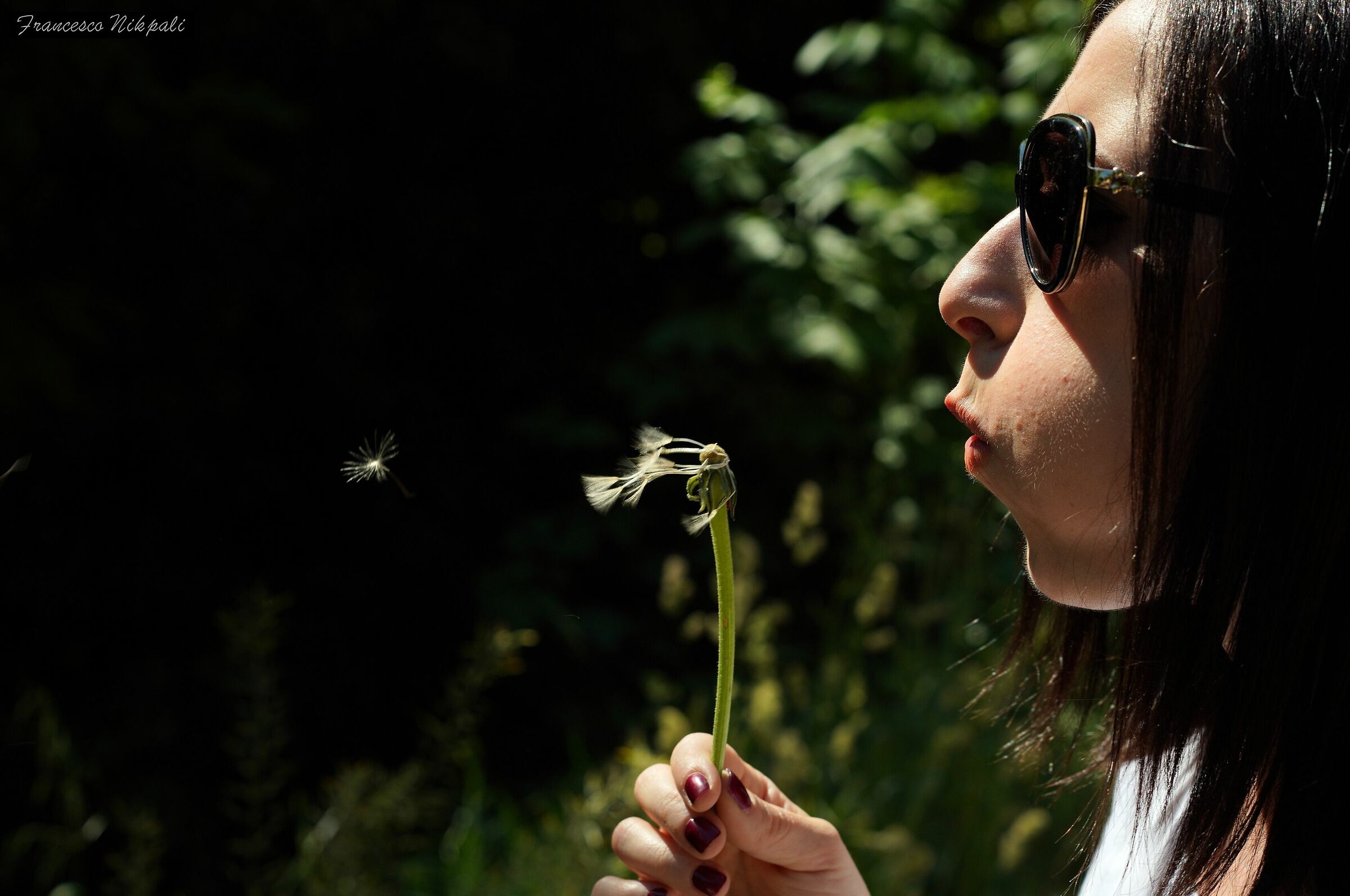 "Gone with the Wind"