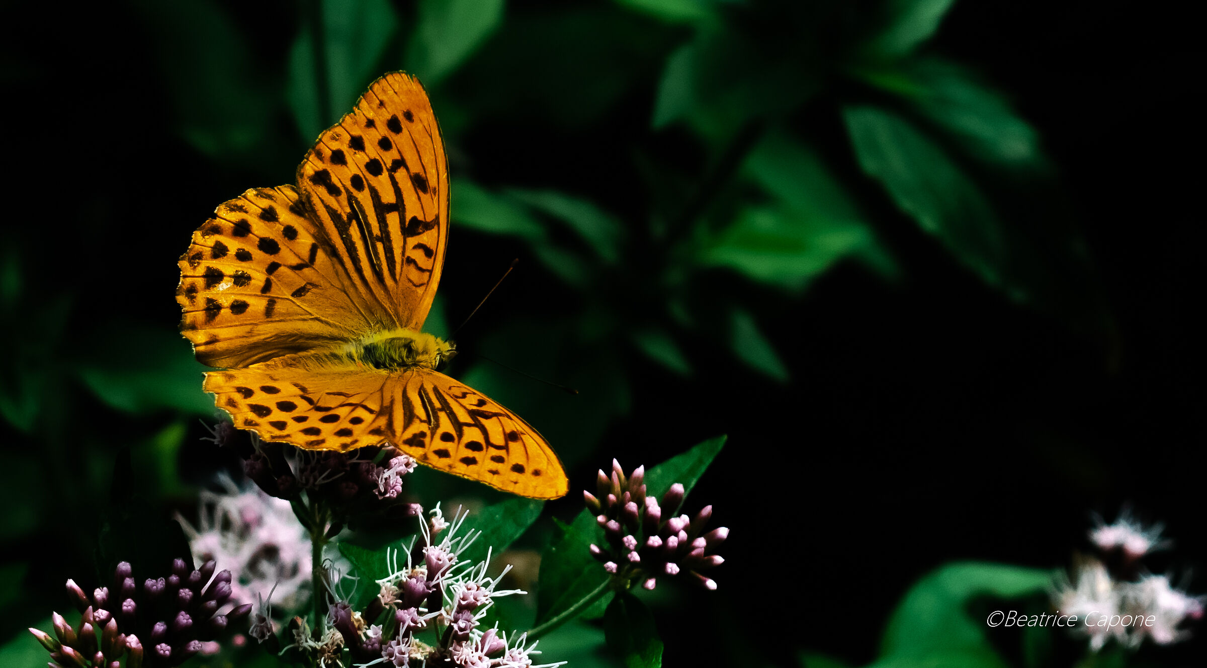 La meraviglia di perdersi nella natura