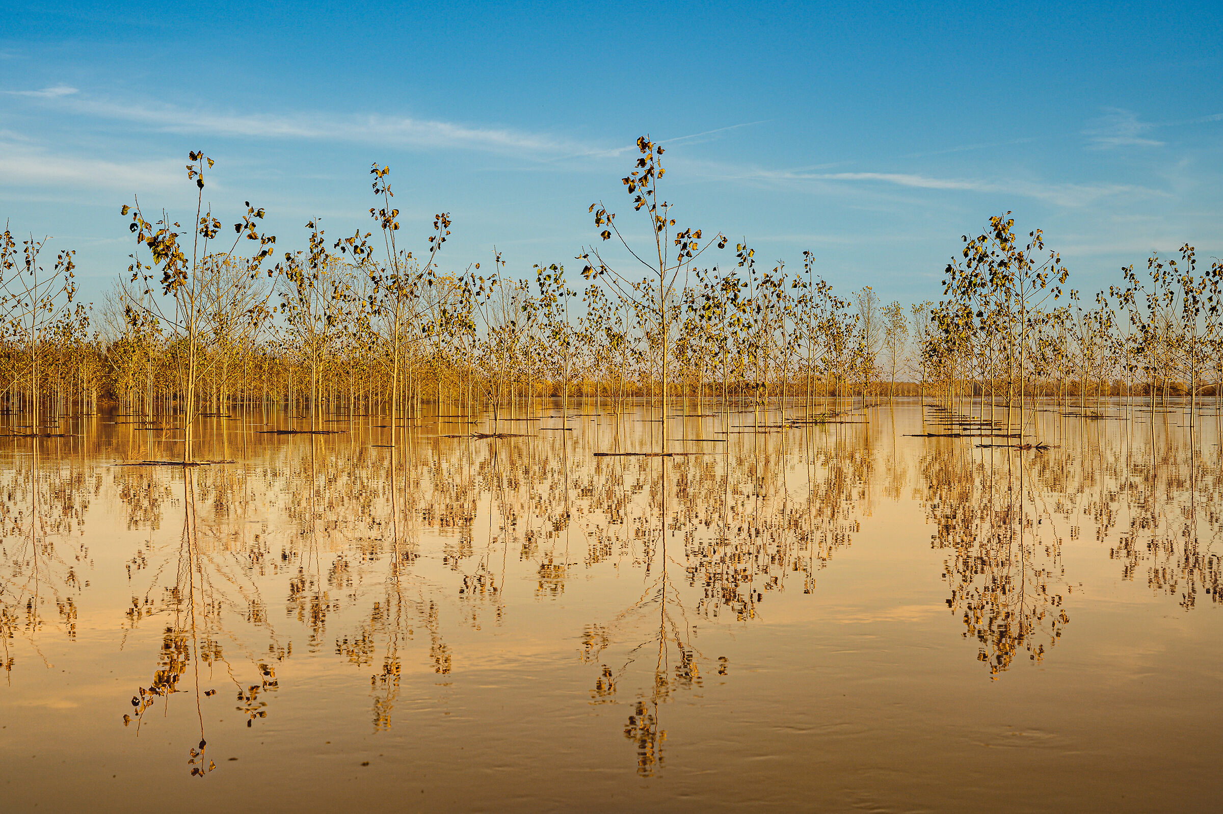 The colors of the flood