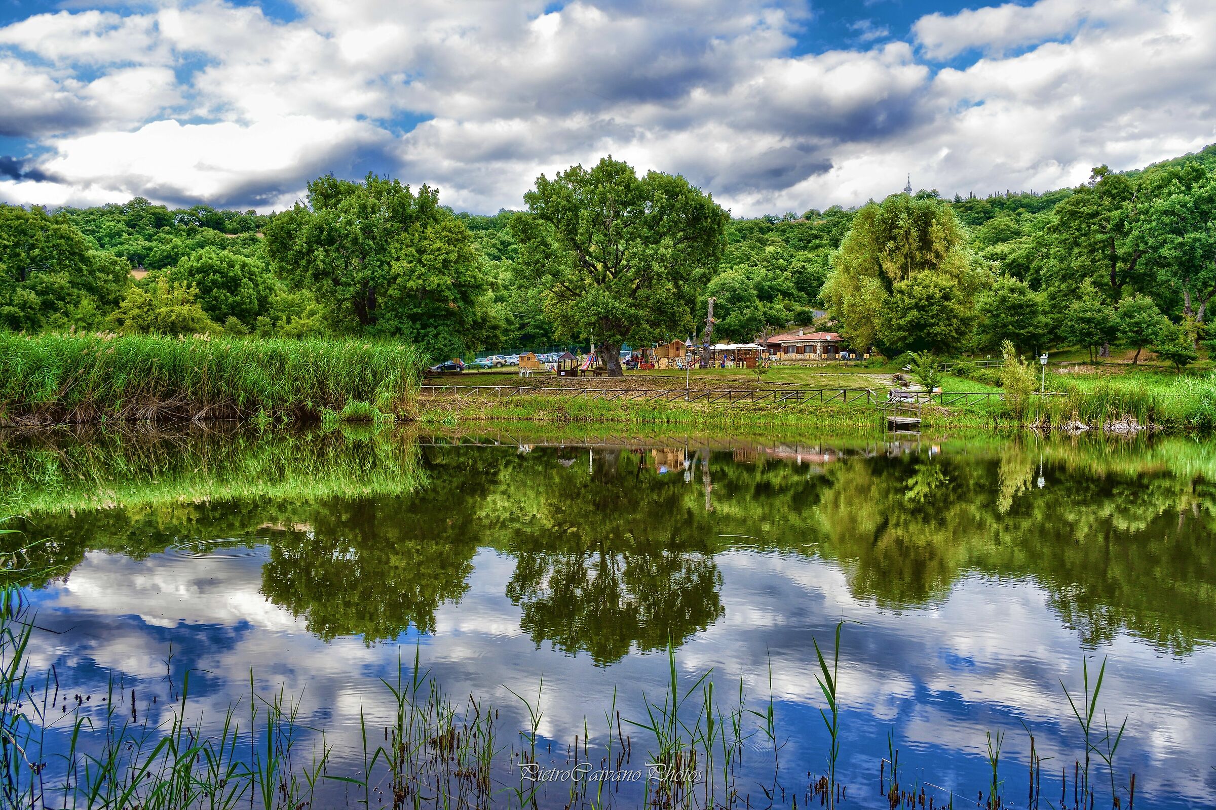 Un piccolo laghetto di montagna