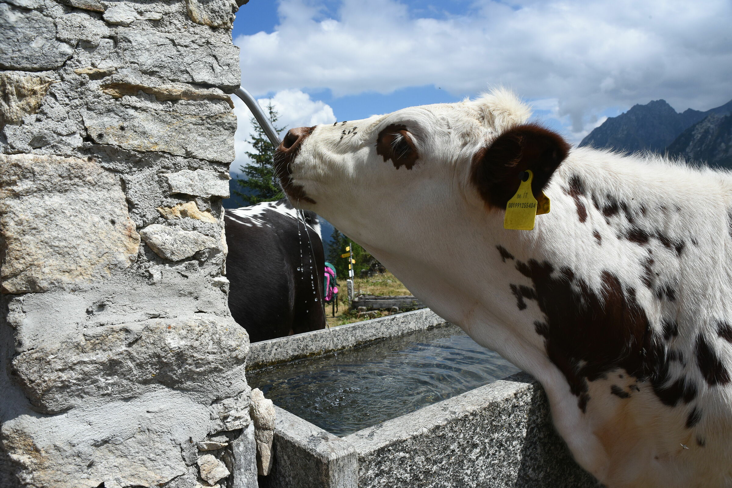 Monte Rosa Macugnaga