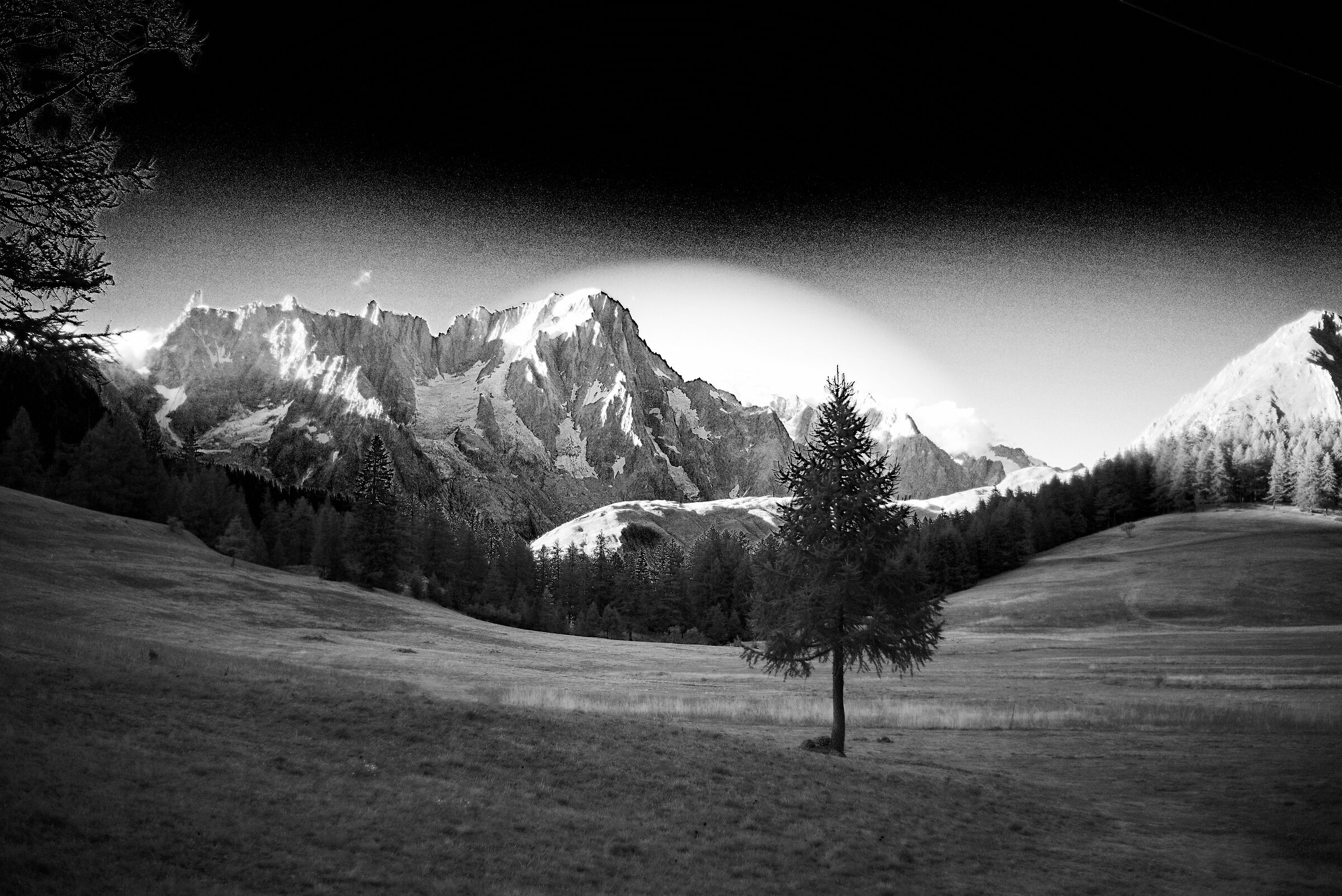 Grand Jorasses, New York