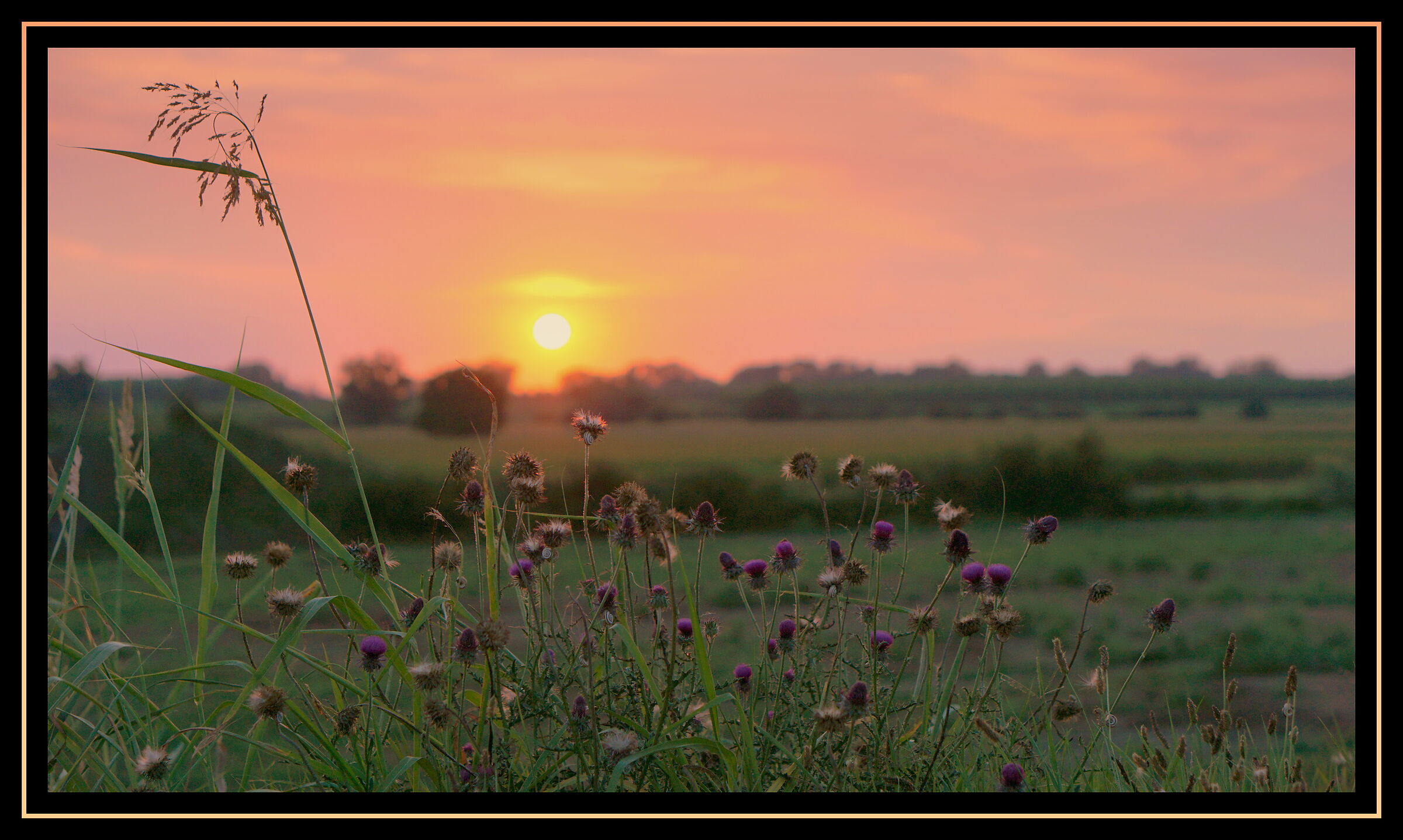 Spectators of a Sunset 2